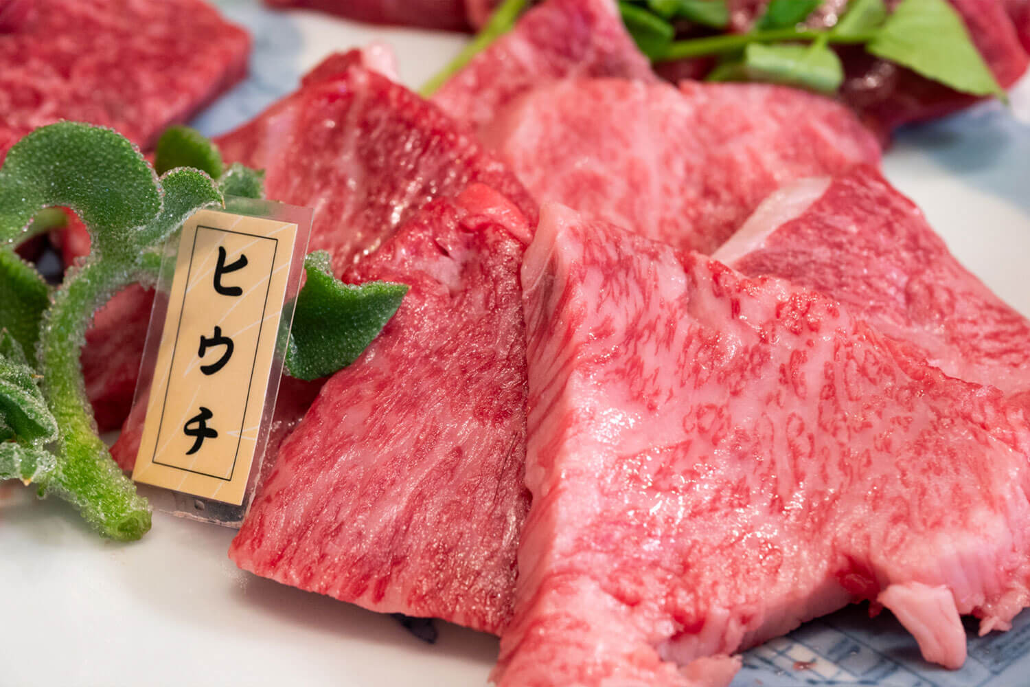 仕入れの目利きと人情味で勝負！ 東大阪の焼肉ヒーロー・炭火焼肉牧場 サカエ屋