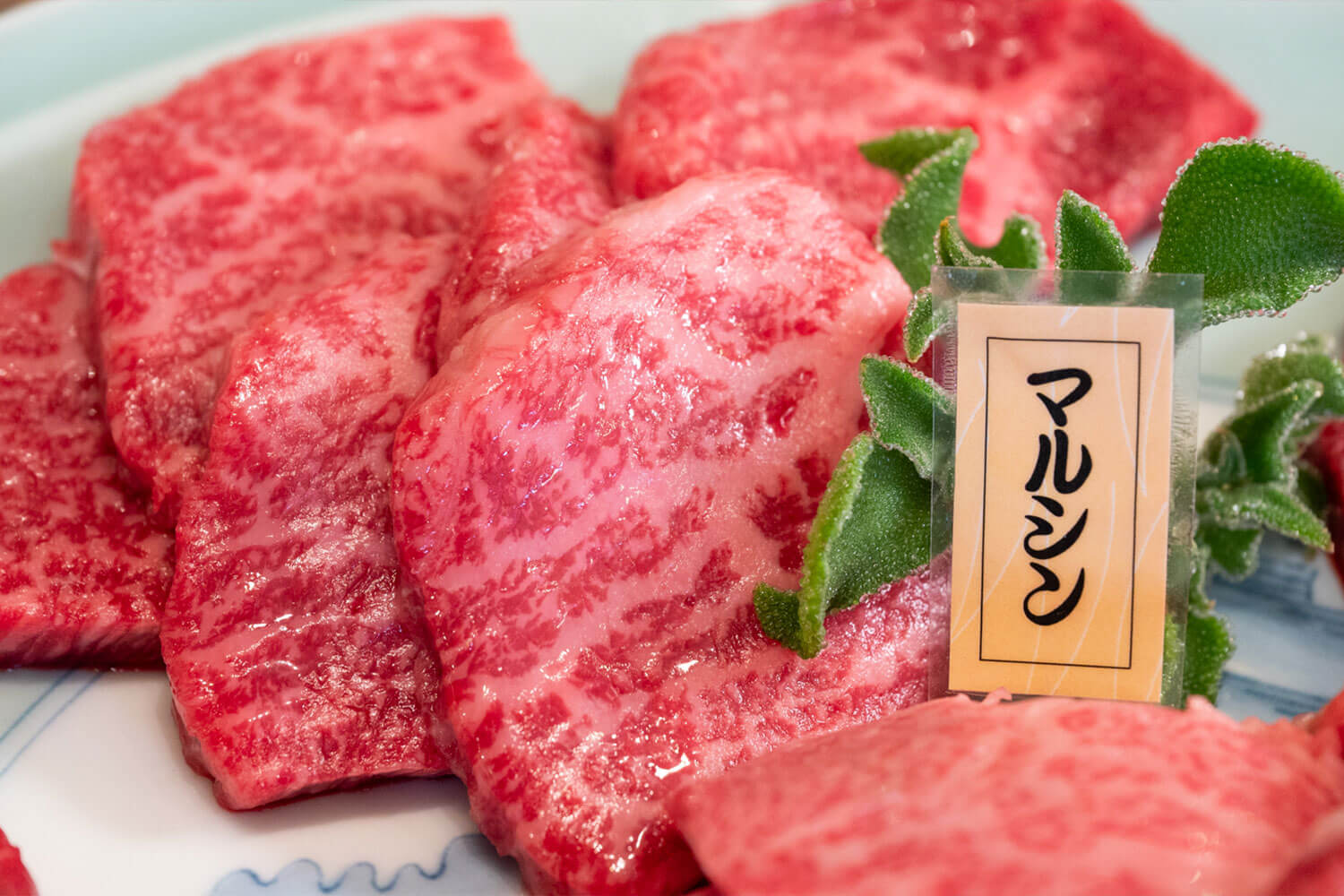 仕入れの目利きと人情味で勝負！ 東大阪の焼肉ヒーロー・炭火焼肉牧場 サカエ屋
