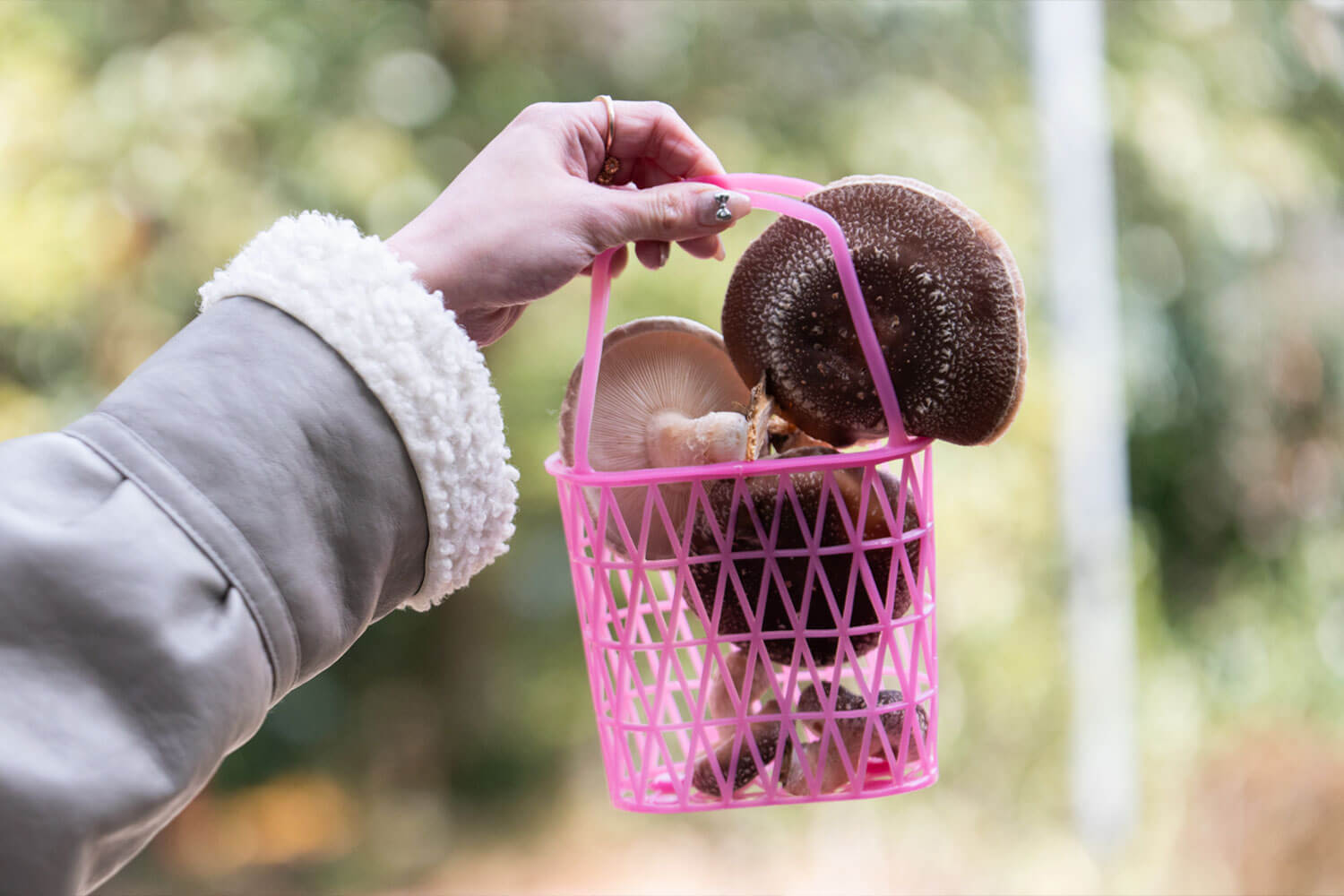 自然まるごと体験！兵庫県三田市『かさや』で遊ぶ・採る・味わう1日旅