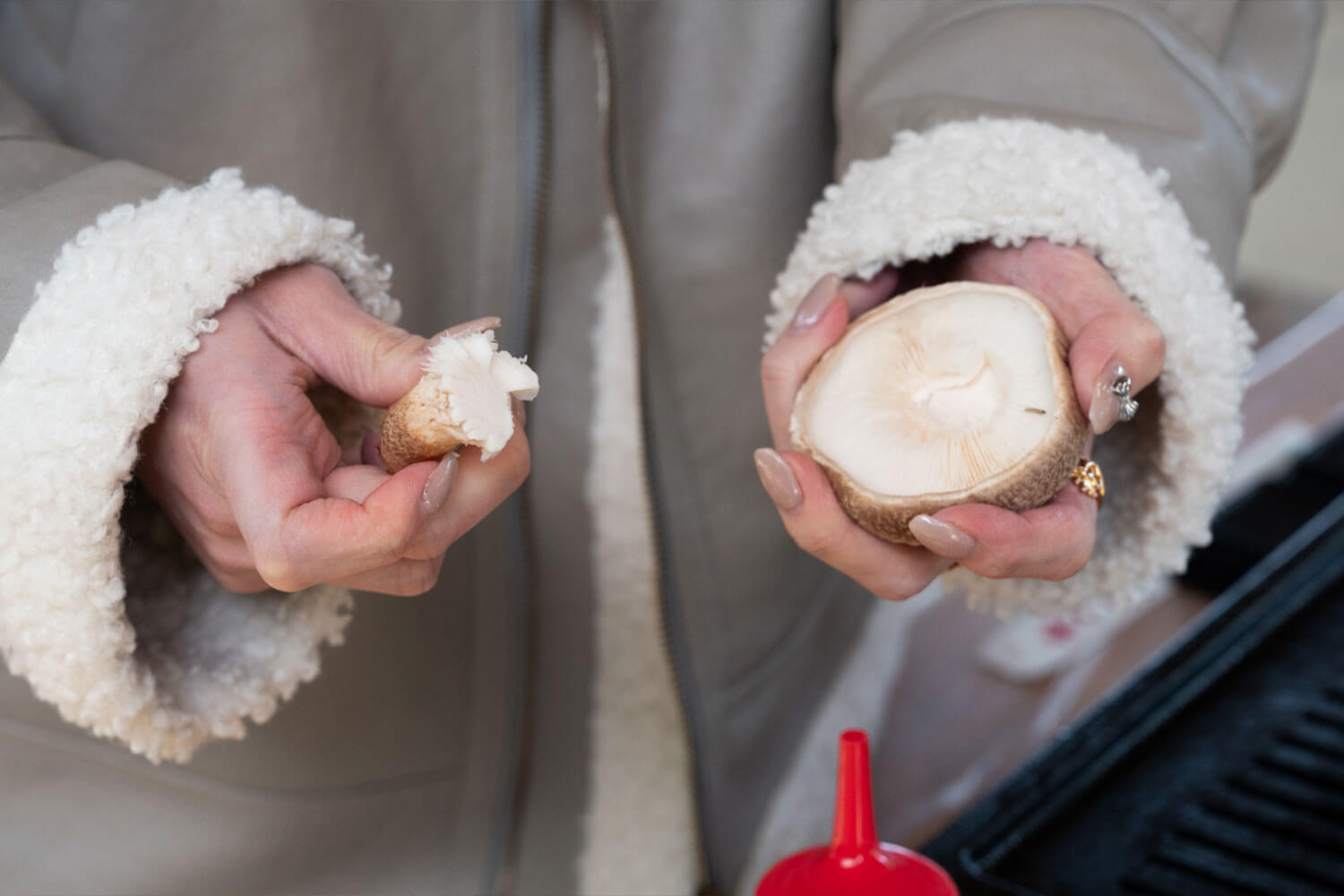 自然まるごと体験！兵庫県三田市『かさや』で遊ぶ・採る・味わう1日旅