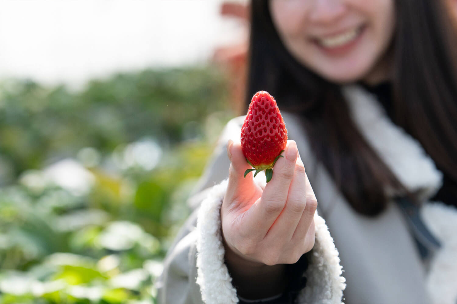 自然まるごと体験！兵庫県三田市『かさや』で遊ぶ・採る・味わう1日旅