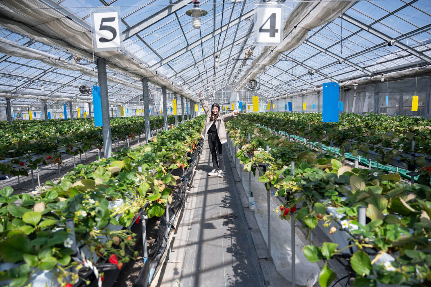 自然まるごと体験！兵庫県三田市『かさや』で遊ぶ・採る・味わう1日旅