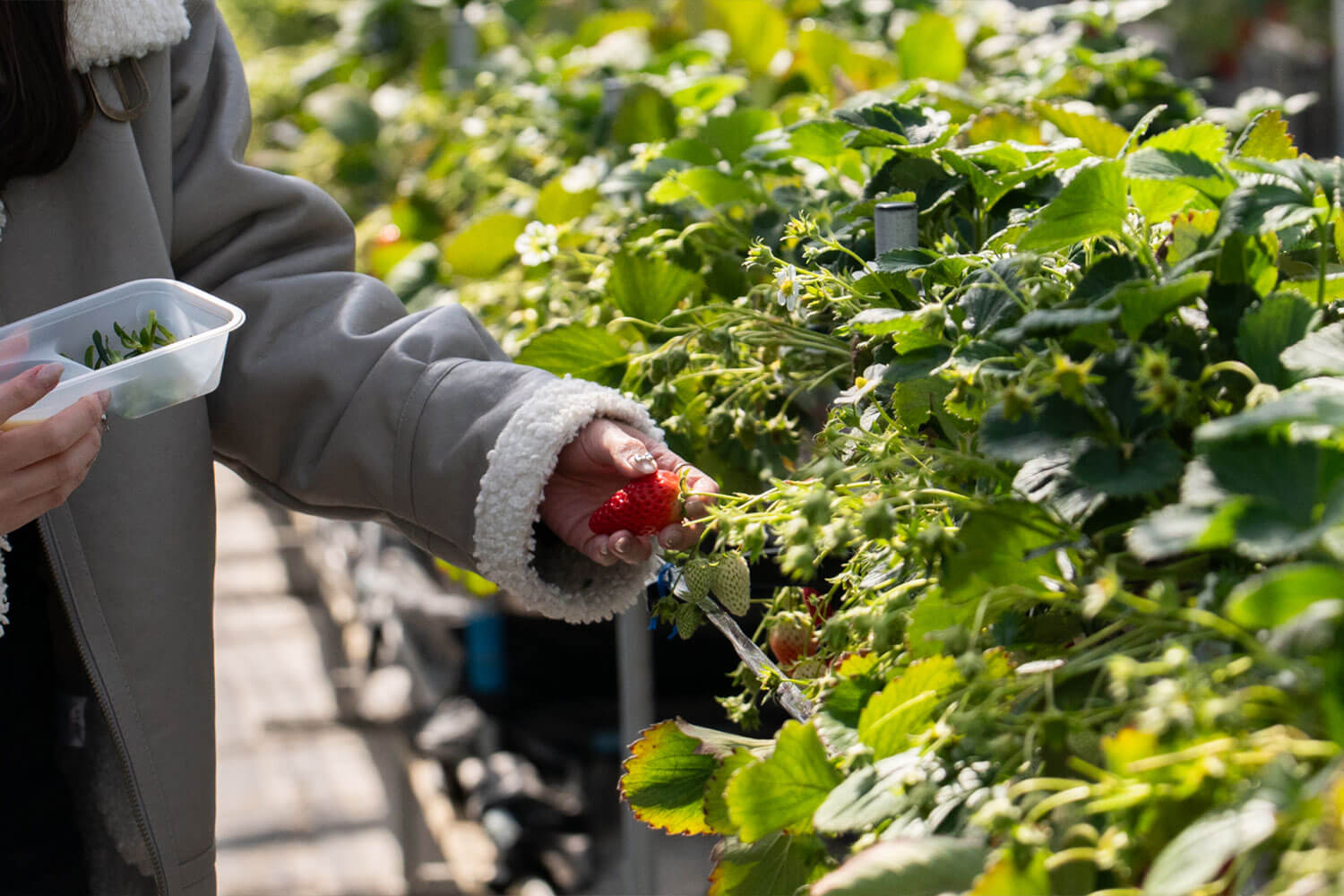 自然まるごと体験！兵庫県三田市『かさや』で遊ぶ・採る・味わう1日旅
