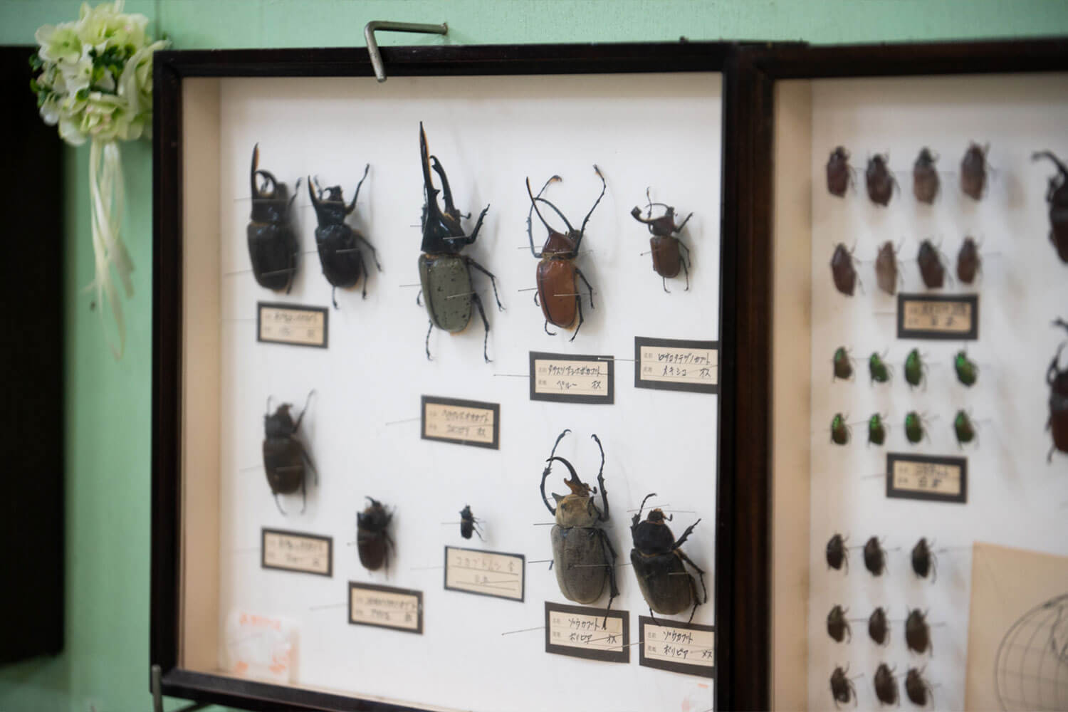 自然まるごと体験！兵庫県三田市『かさや』で遊ぶ・採る・味わう1日旅