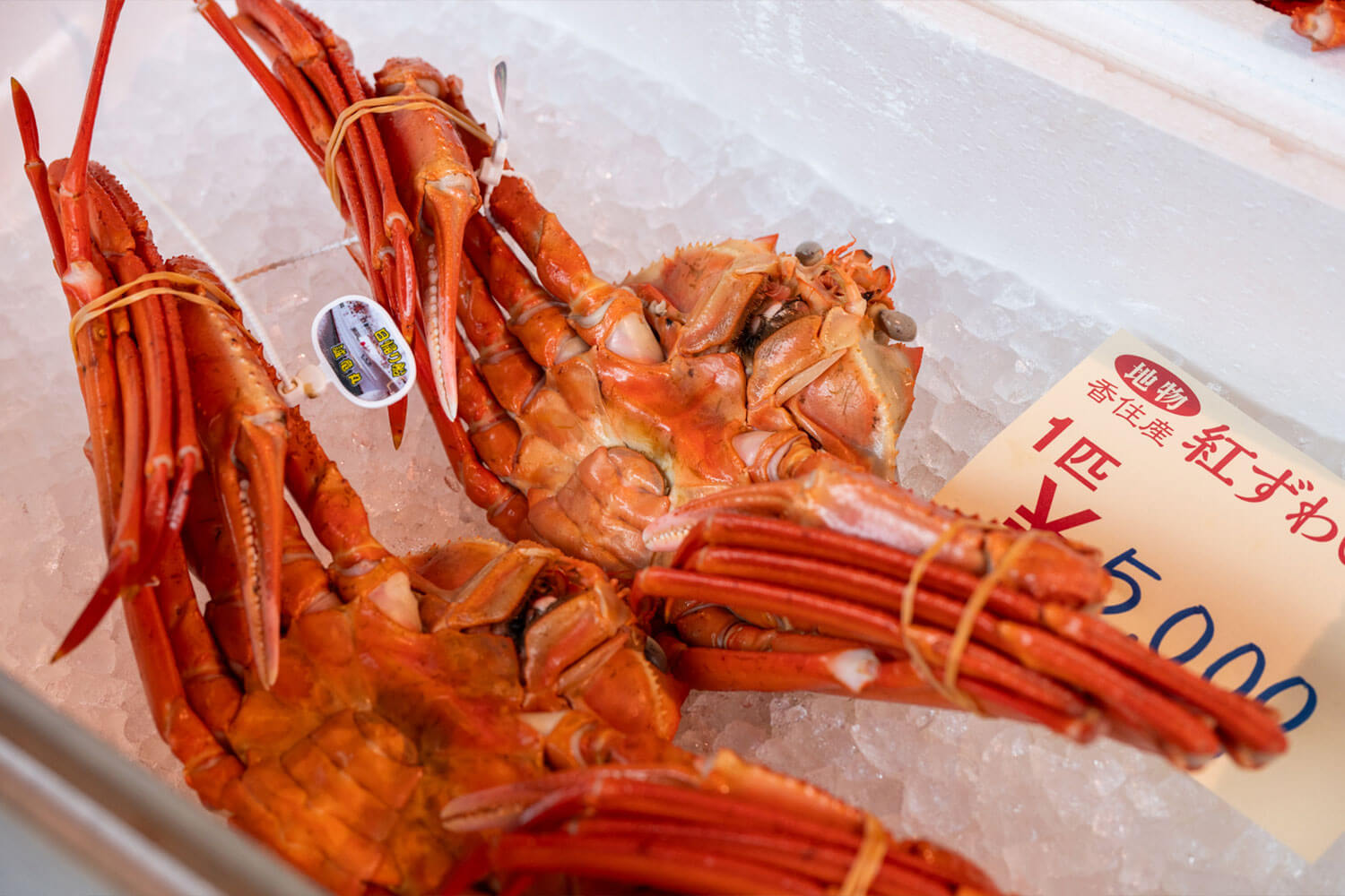 風情あふれる街並みを浴衣でのんびりそぞろ歩き。 HESTA女子2人と巡る、城崎温泉ぶらり旅。