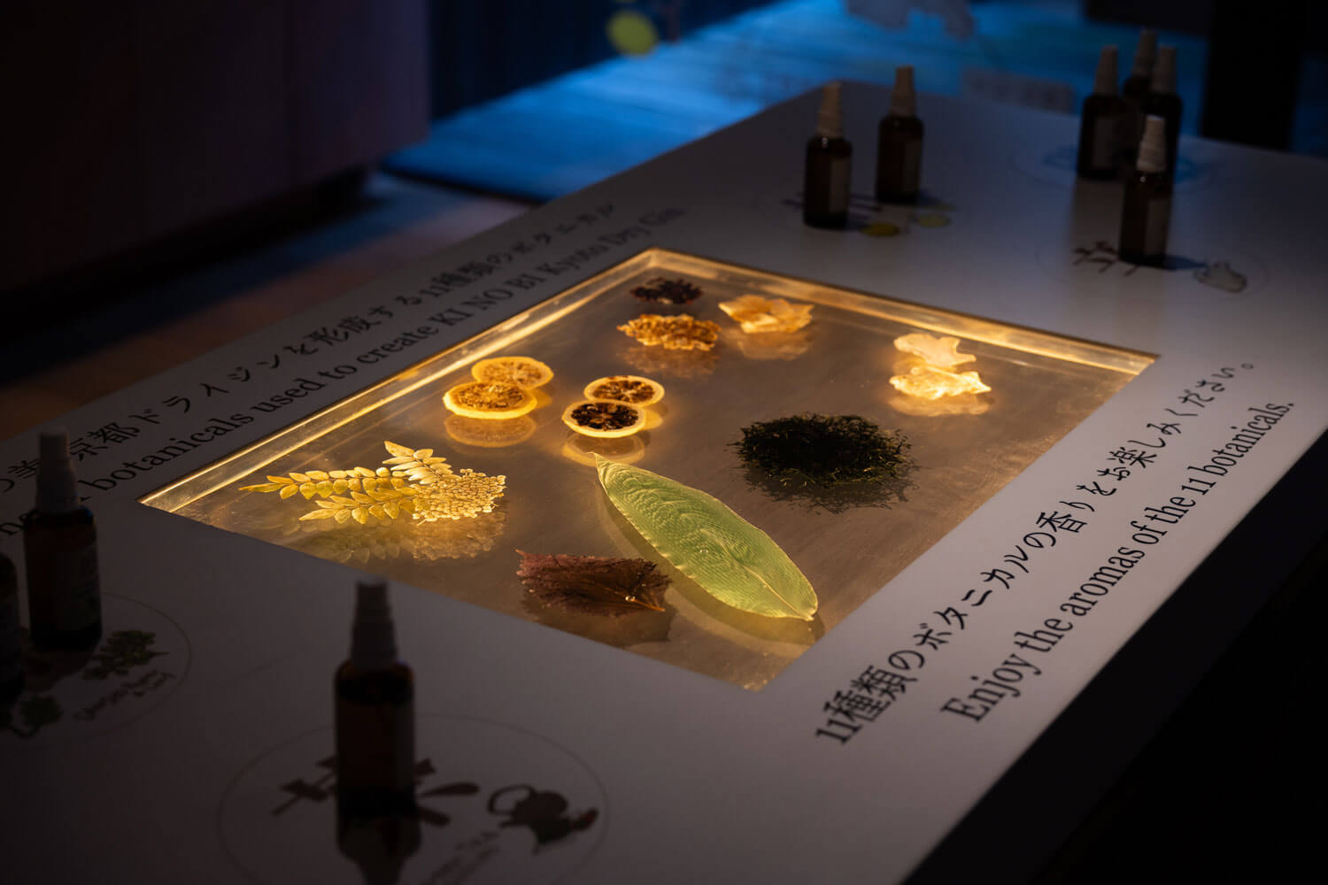 受け継がれる伝統といまを訪ねる古都散歩。HESTA LIFE的・京都巡り