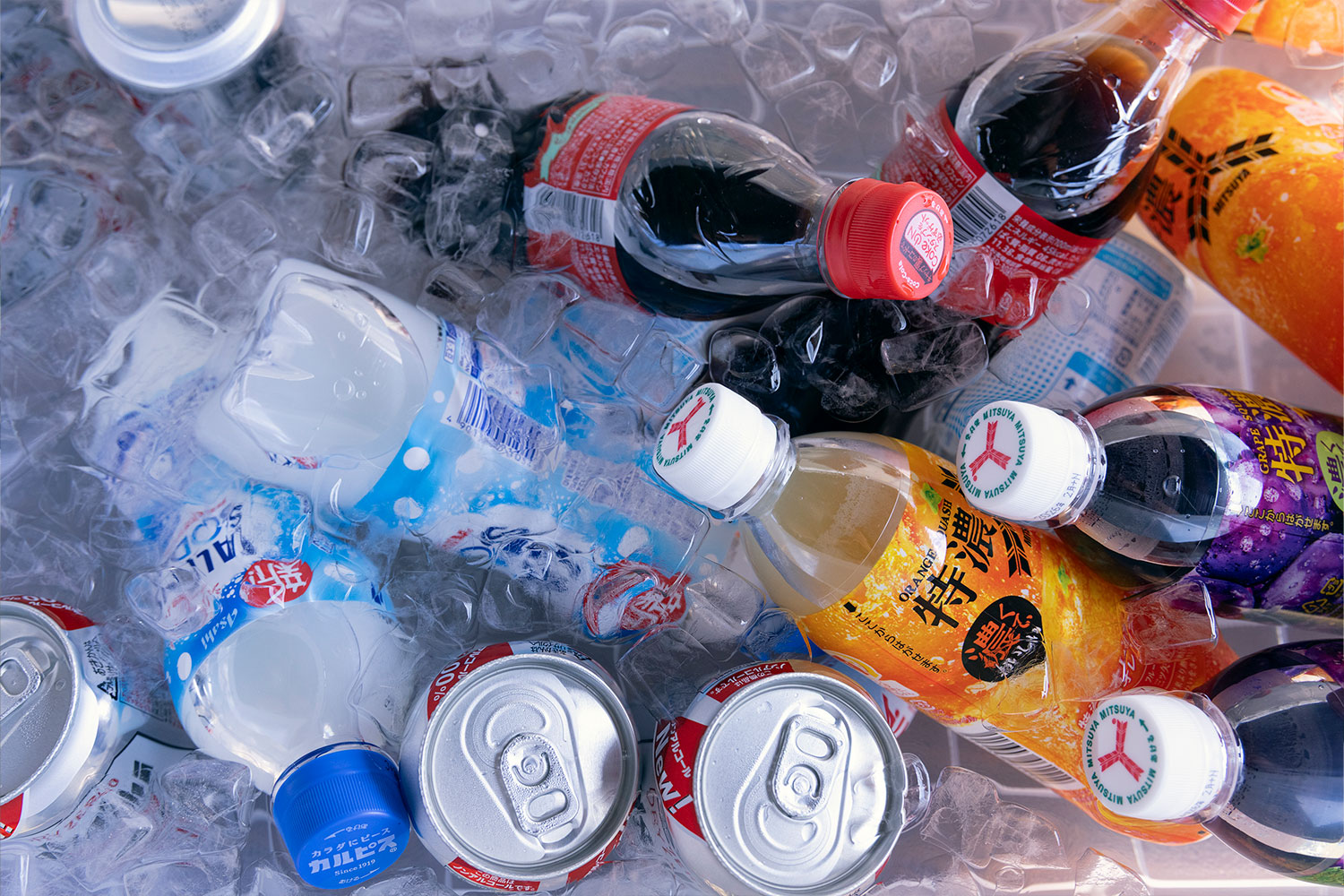 温泉隣接のRVパークにキャンピングカー集結！笑顔が交わるマル得イベントに潜入