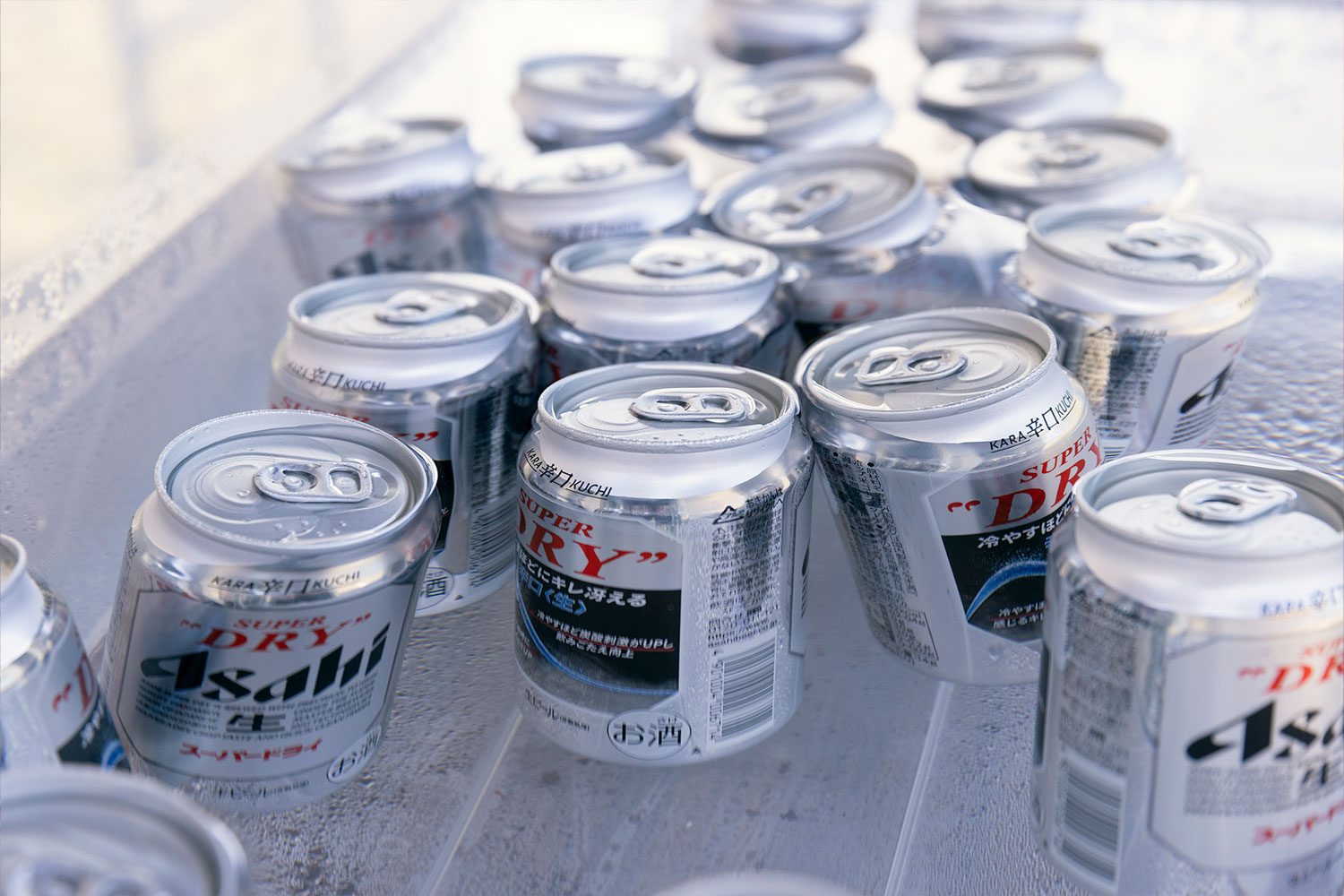 温泉隣接のRVパークにキャンピングカー集結！笑顔が交わるマル得イベントに潜入