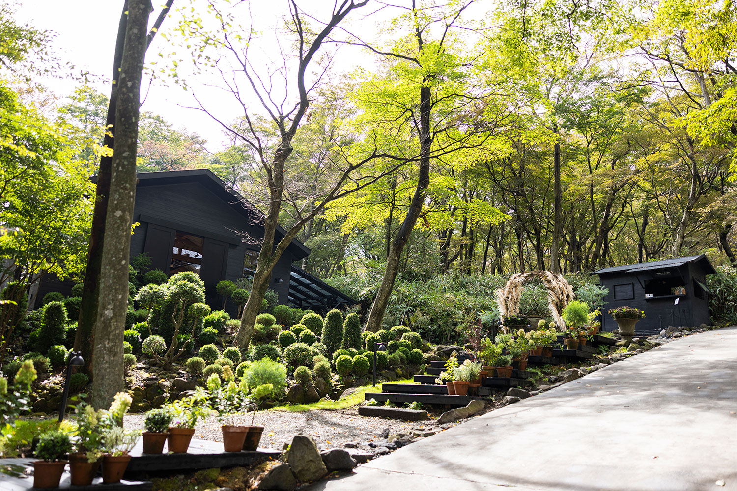 箱根の自然に包まれて。世界的フラワーアーティスト、ニコライ・バーグマンが描くアートガーデンへ