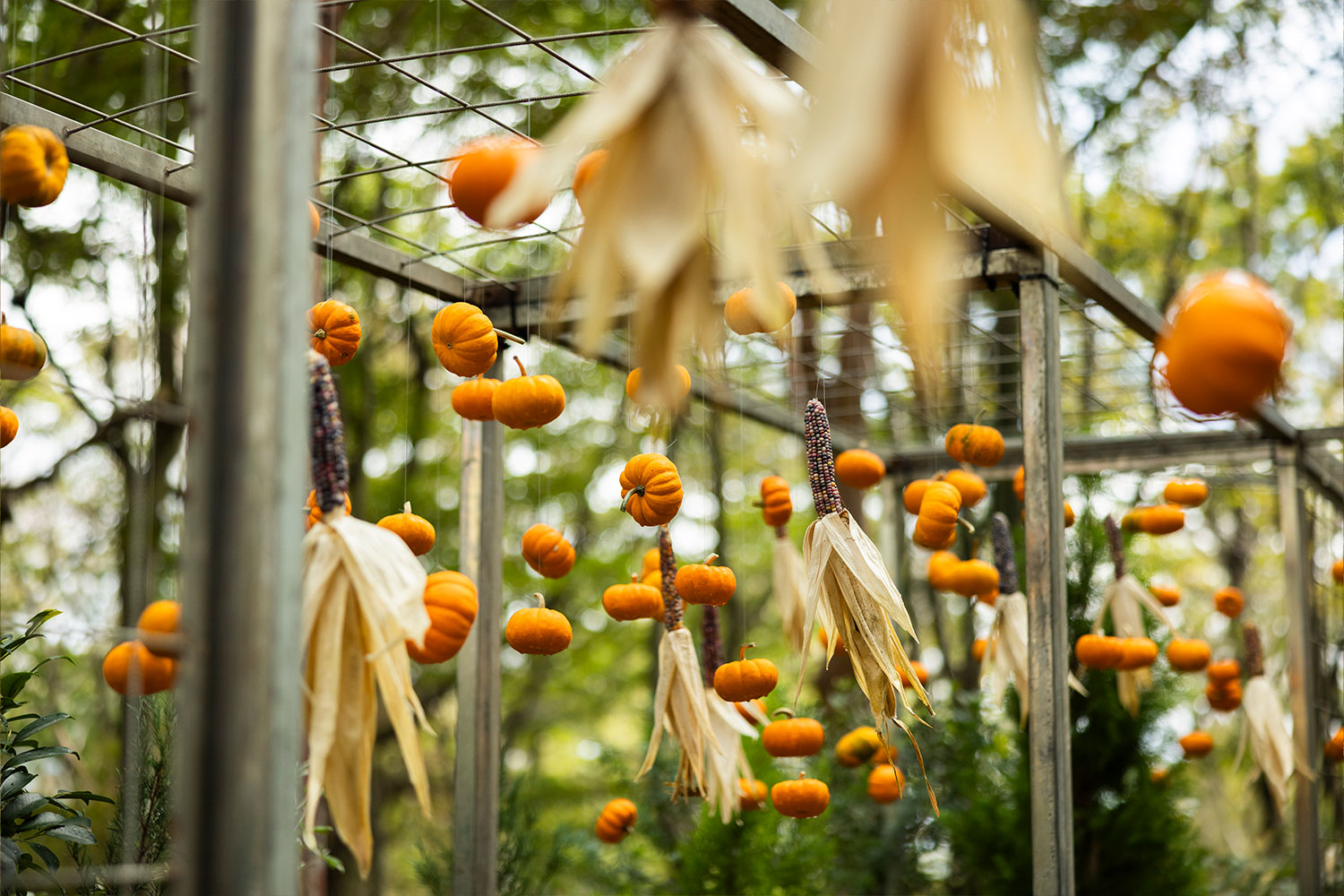 箱根の自然に包まれて。世界的フラワーアーティスト、ニコライ・バーグマンが描くアートガーデンへ