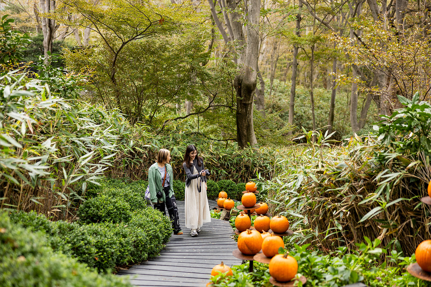 箱根の自然に包まれて。世界的フラワーアーティスト、ニコライ・バーグマンが描くアートガーデンへ
