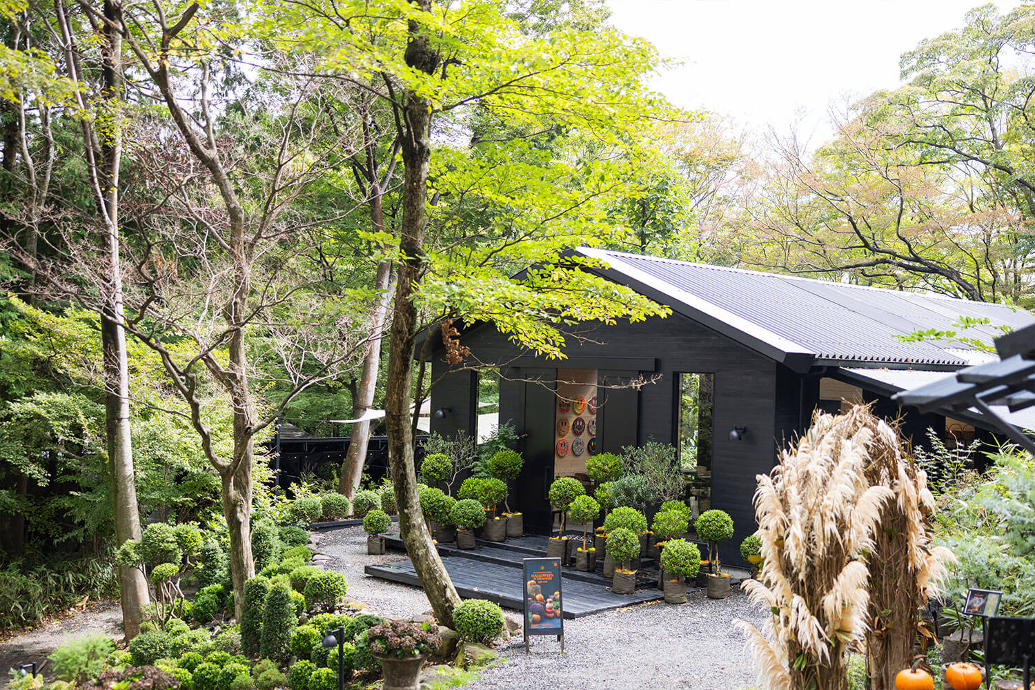 地域に根付く文化と自然、アートとクラフトをめぐる秋の1日。五感で味わうHESTA LIFE的・箱根旅