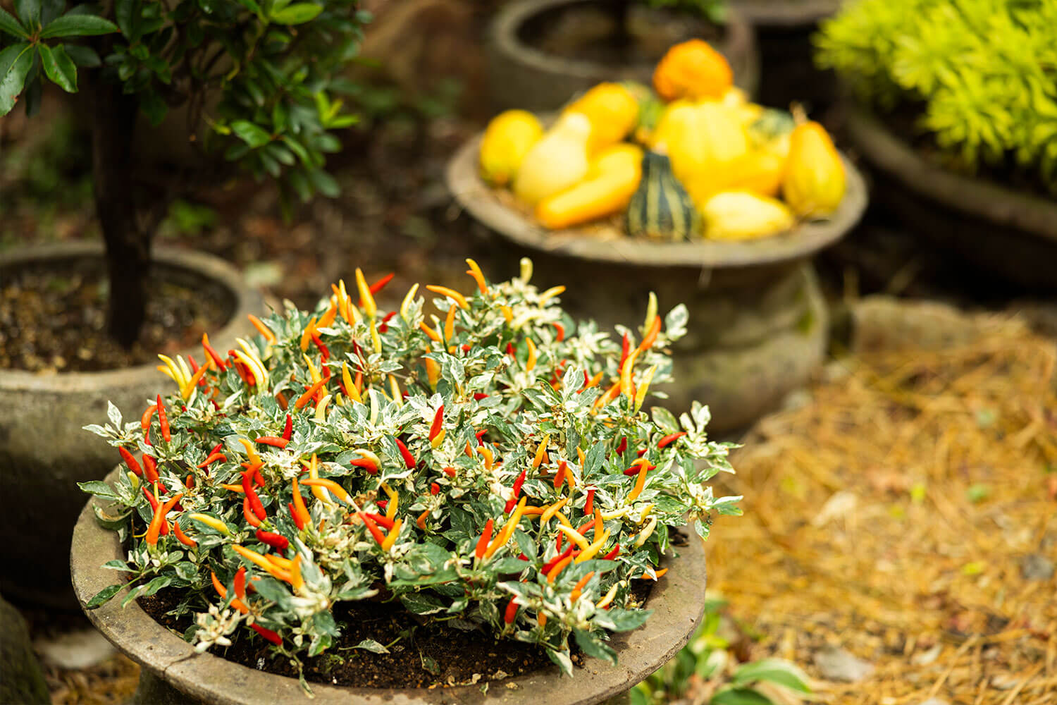 地域に根付く文化と自然、アートとクラフトをめぐる秋の1日。五感で味わうHESTA LIFE的・箱根旅