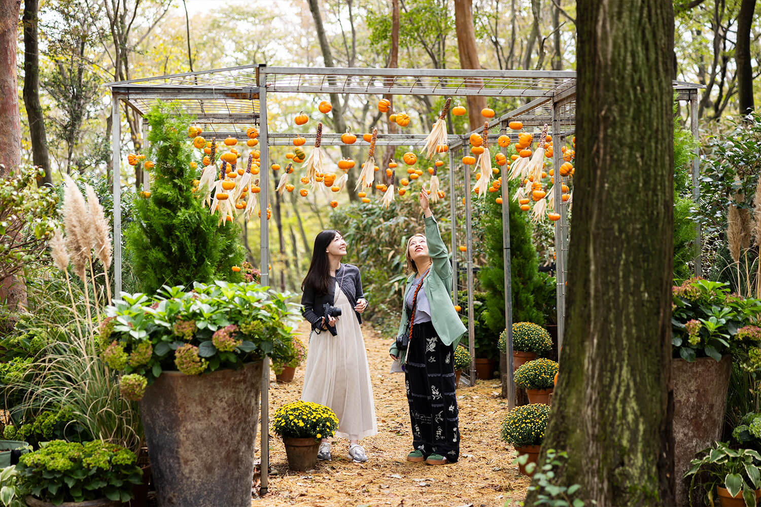 地域に根付く文化と自然、アートとクラフトをめぐる秋の1日。五感で味わうHESTA LIFE的・箱根旅