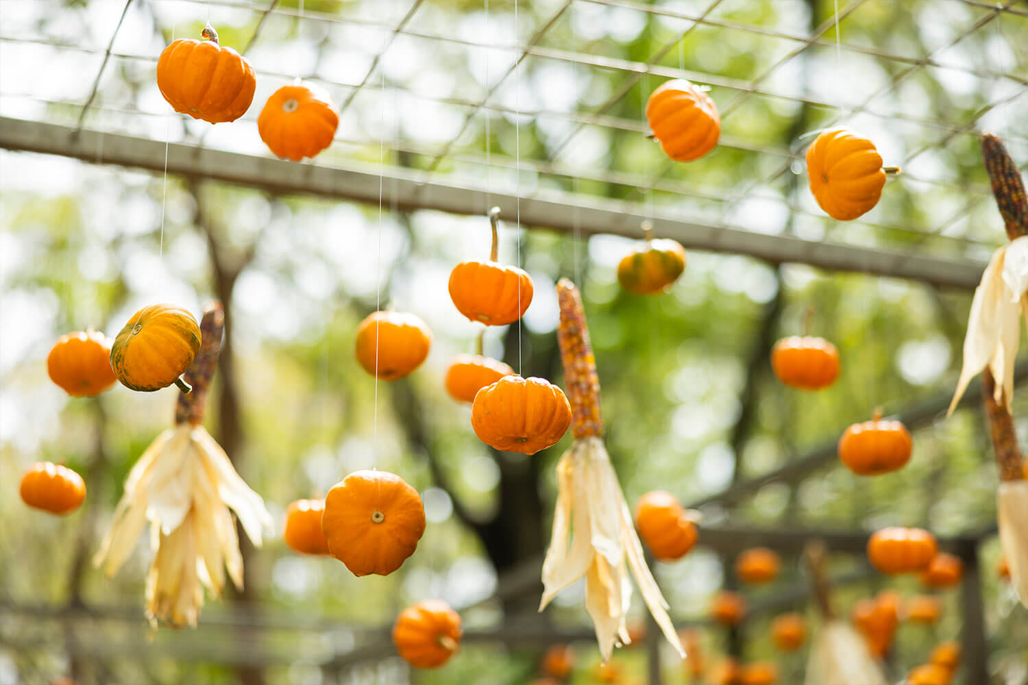 地域に根付く文化と自然、アートとクラフトをめぐる秋の1日。五感で味わうHESTA LIFE的・箱根旅