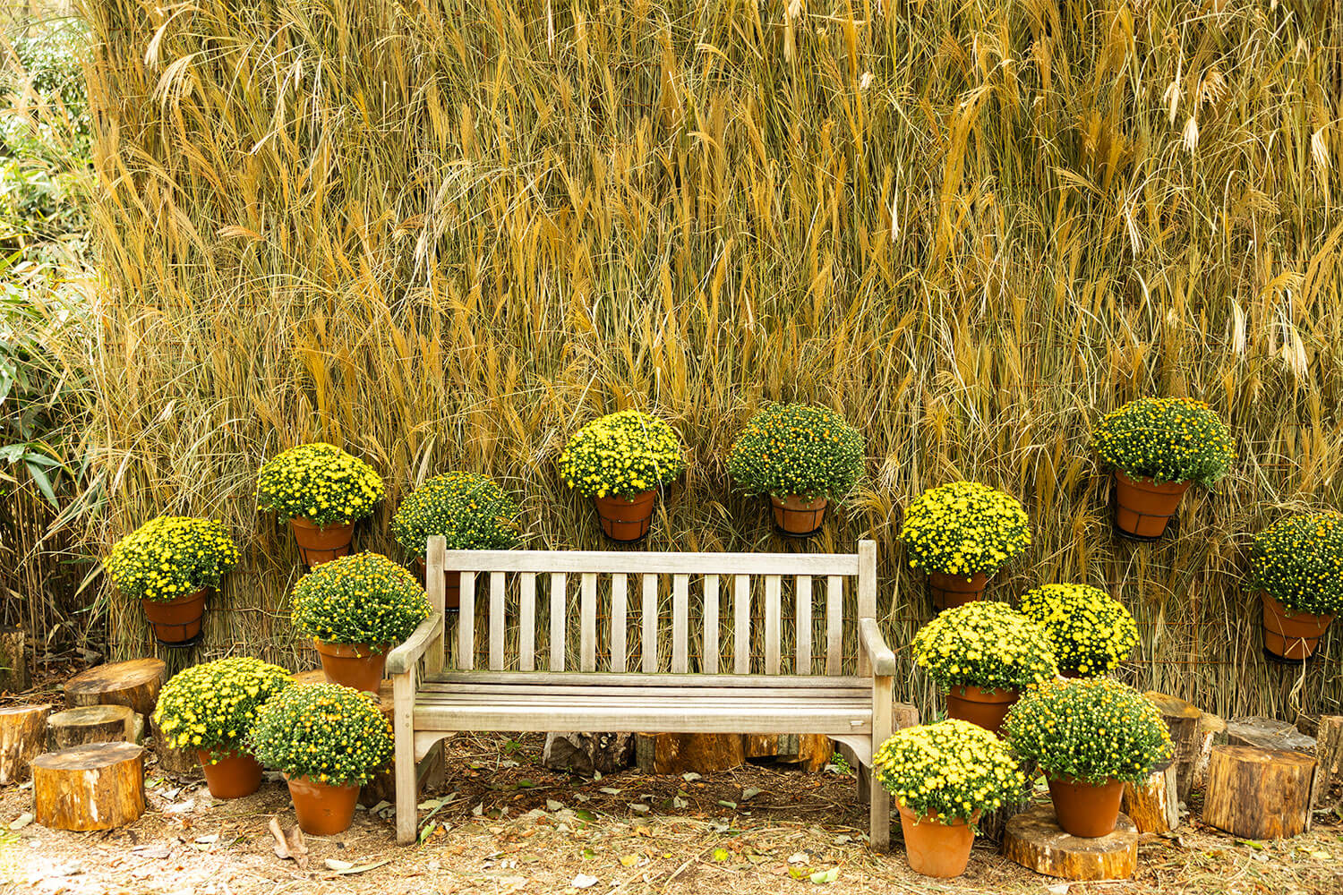 地域に根付く文化と自然、アートとクラフトをめぐる秋の1日。五感で味わうHESTA LIFE的・箱根旅