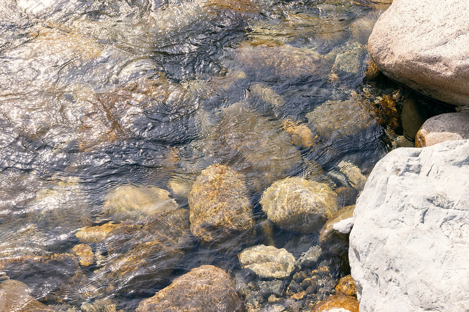 BBQも温泉もご当地グルメも。RVパークHESTA板取川温泉で楽しむ1泊2日のフリーダムキャンプ