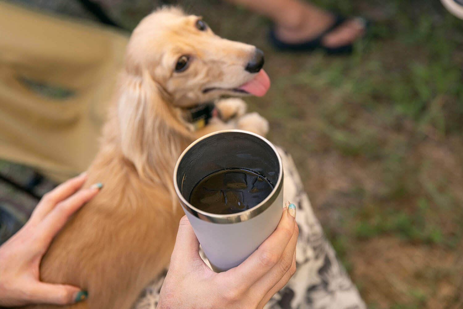BBQも温泉もご当地グルメも。RVパークHESTA板取川温泉で楽しむ1泊2日のフリーダムキャンプ