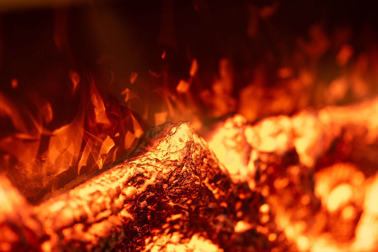 銀座の夜をあたたかく包む『HESTIA GINZA』のクリスマスディナー