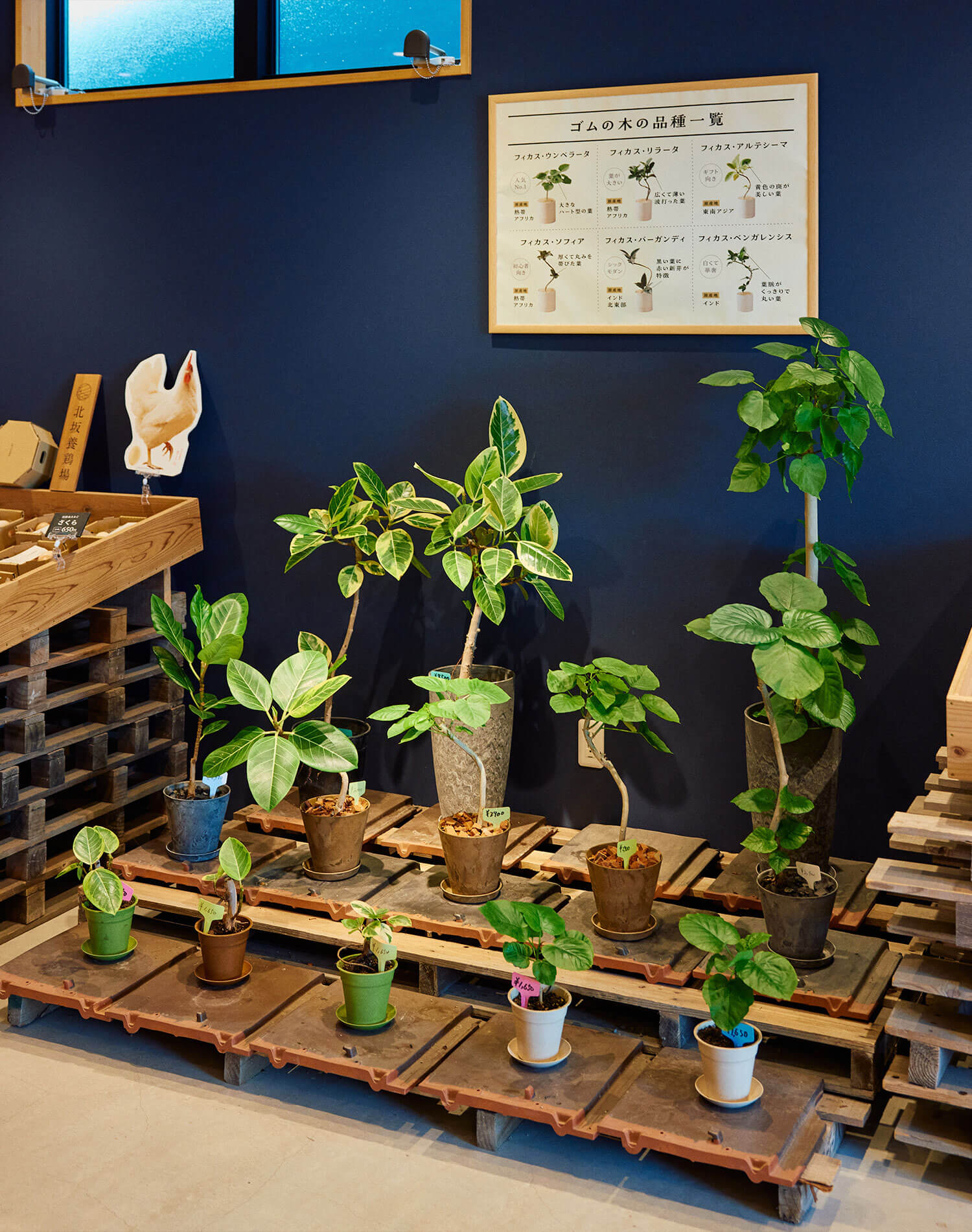 海風に包まれながらローカルに出会う、淡路島ゆるっと巡り