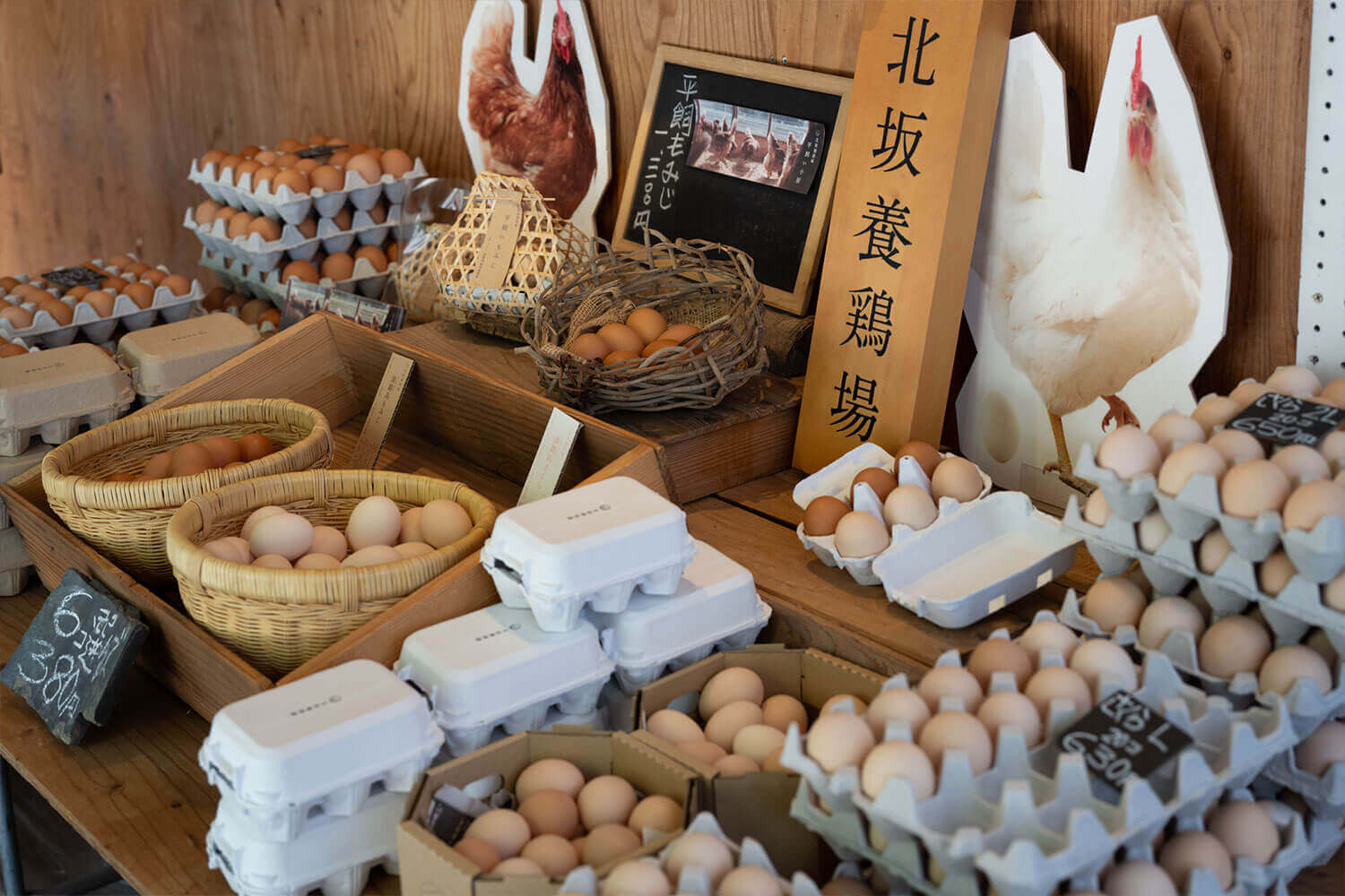 海風に包まれながらローカルに出会う、淡路島ゆるっと巡り