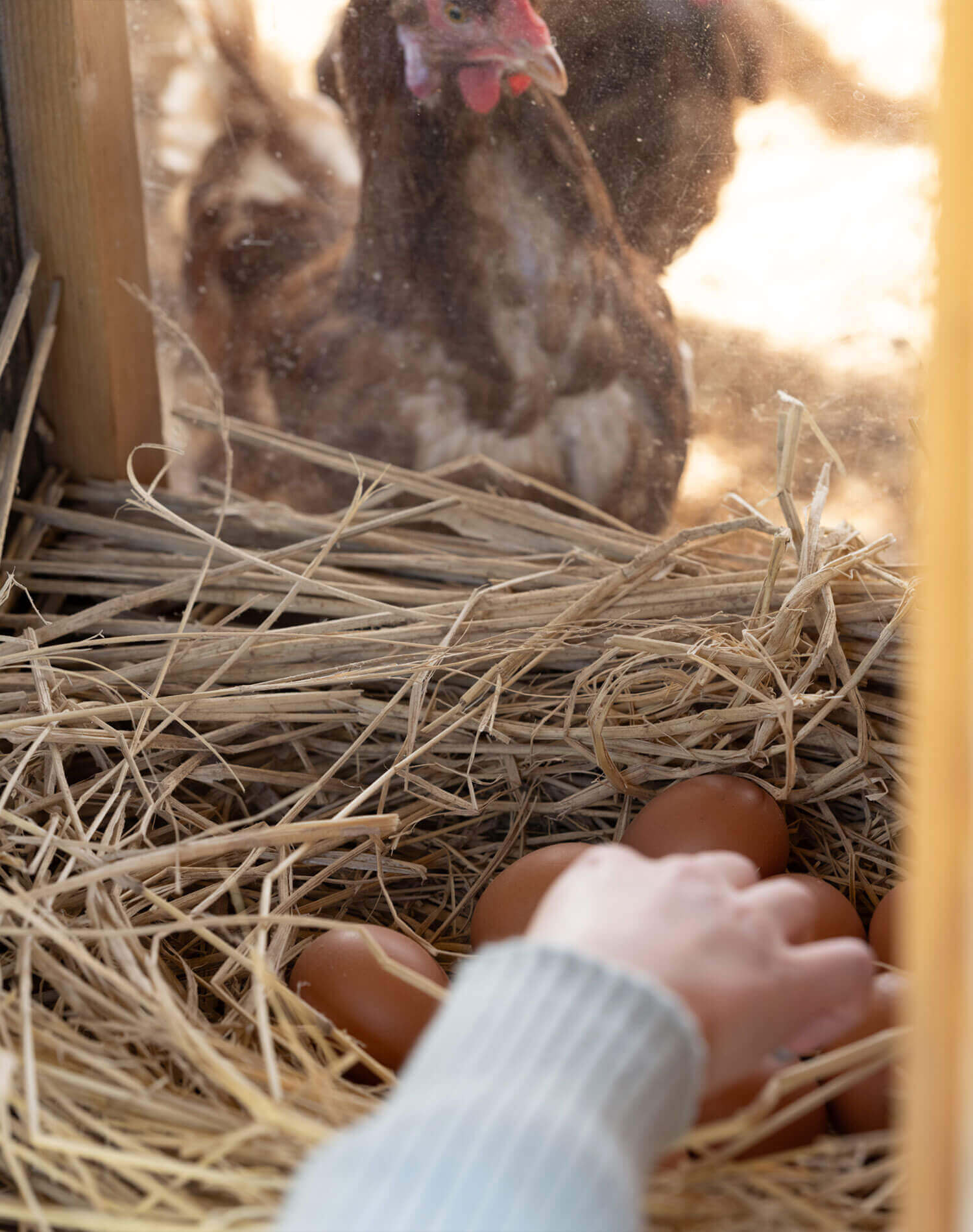 海風に包まれながらローカルに出会う、淡路島ゆるっと巡り