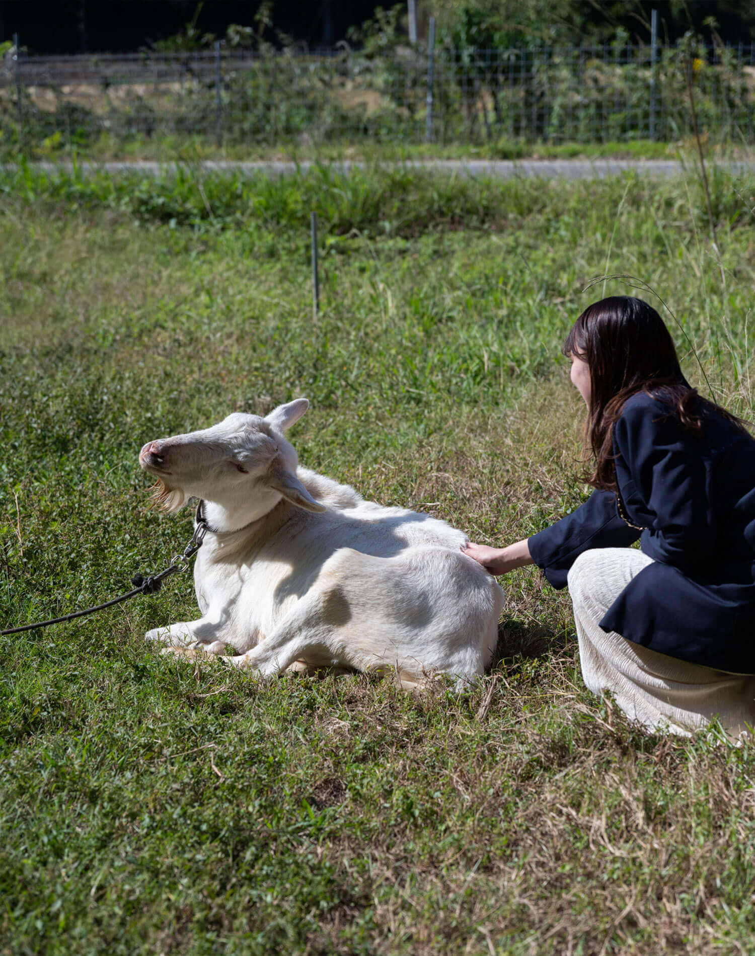 海風に包まれながらローカルに出会う、淡路島ゆるっと巡り