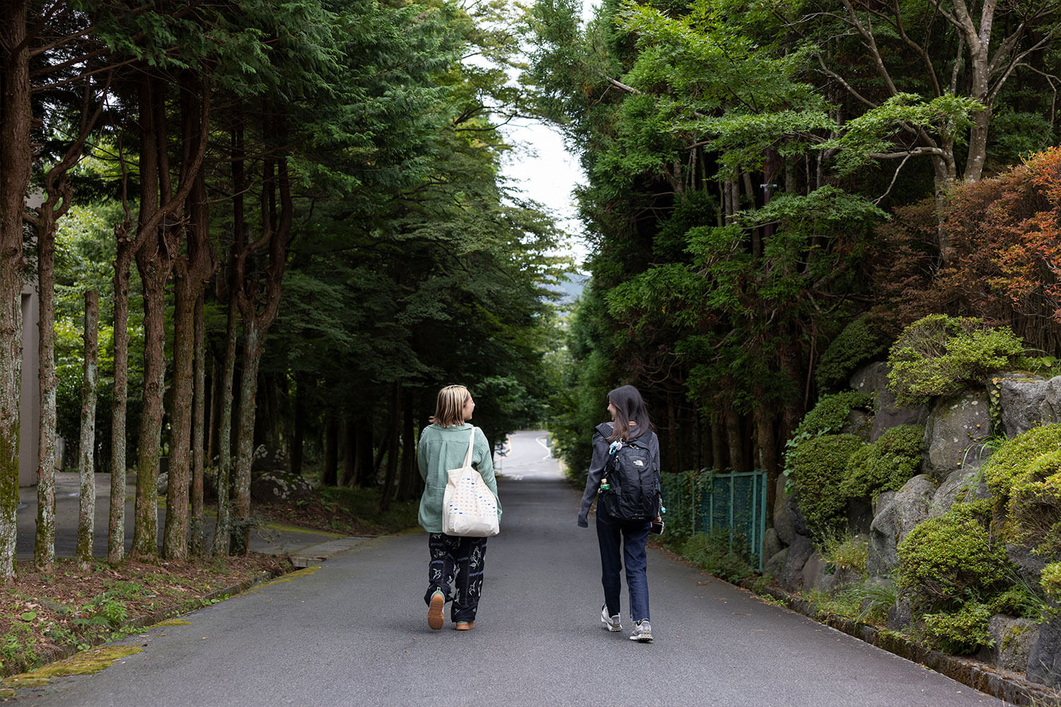 静けさと自由が心地よい、元箱根で過ごす素泊まりリトリート
