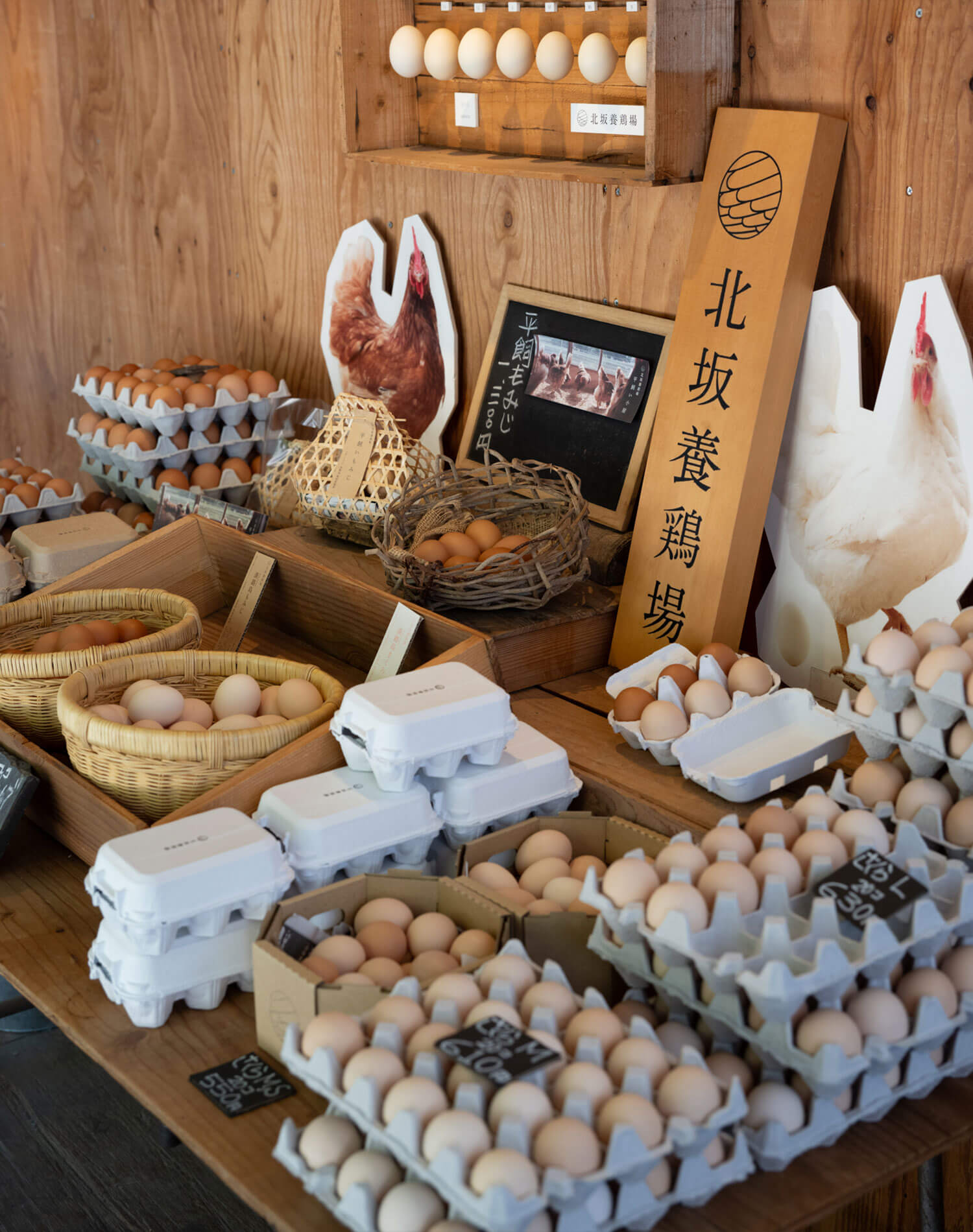 北坂養鶏場 採れたてのたまごたち