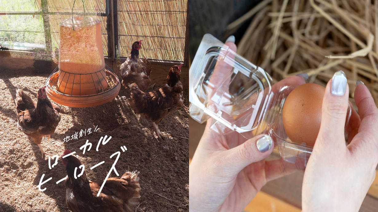 北坂養鶏場取材