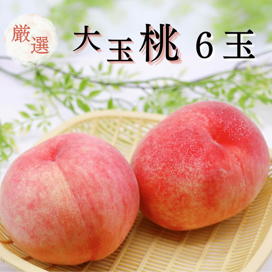 迷ったらココをチェック！2025年の人気商品が勢ぞろい！【HESTA LIFE売上ランキング2025】