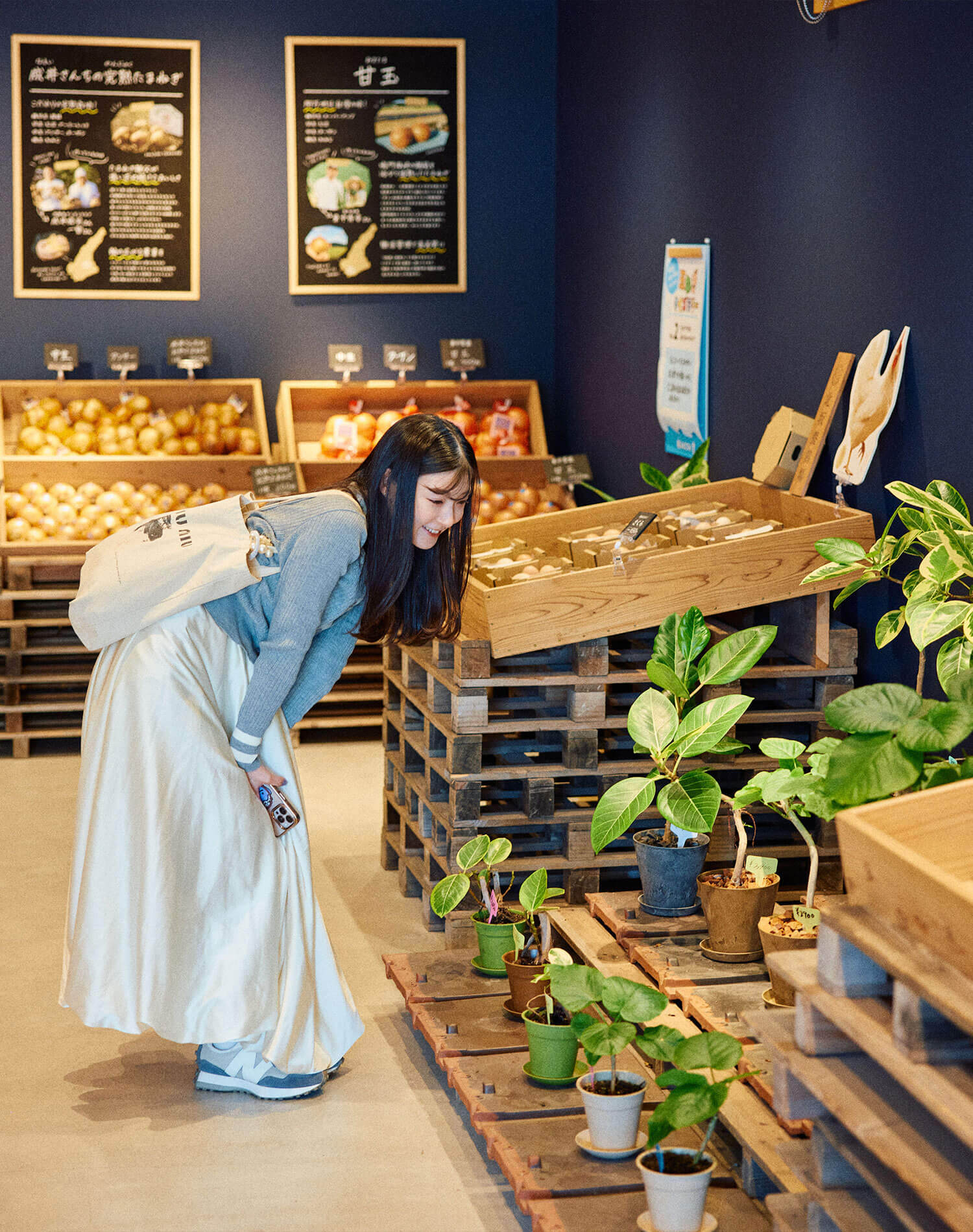 大小さまざまなゴムの木も販売中