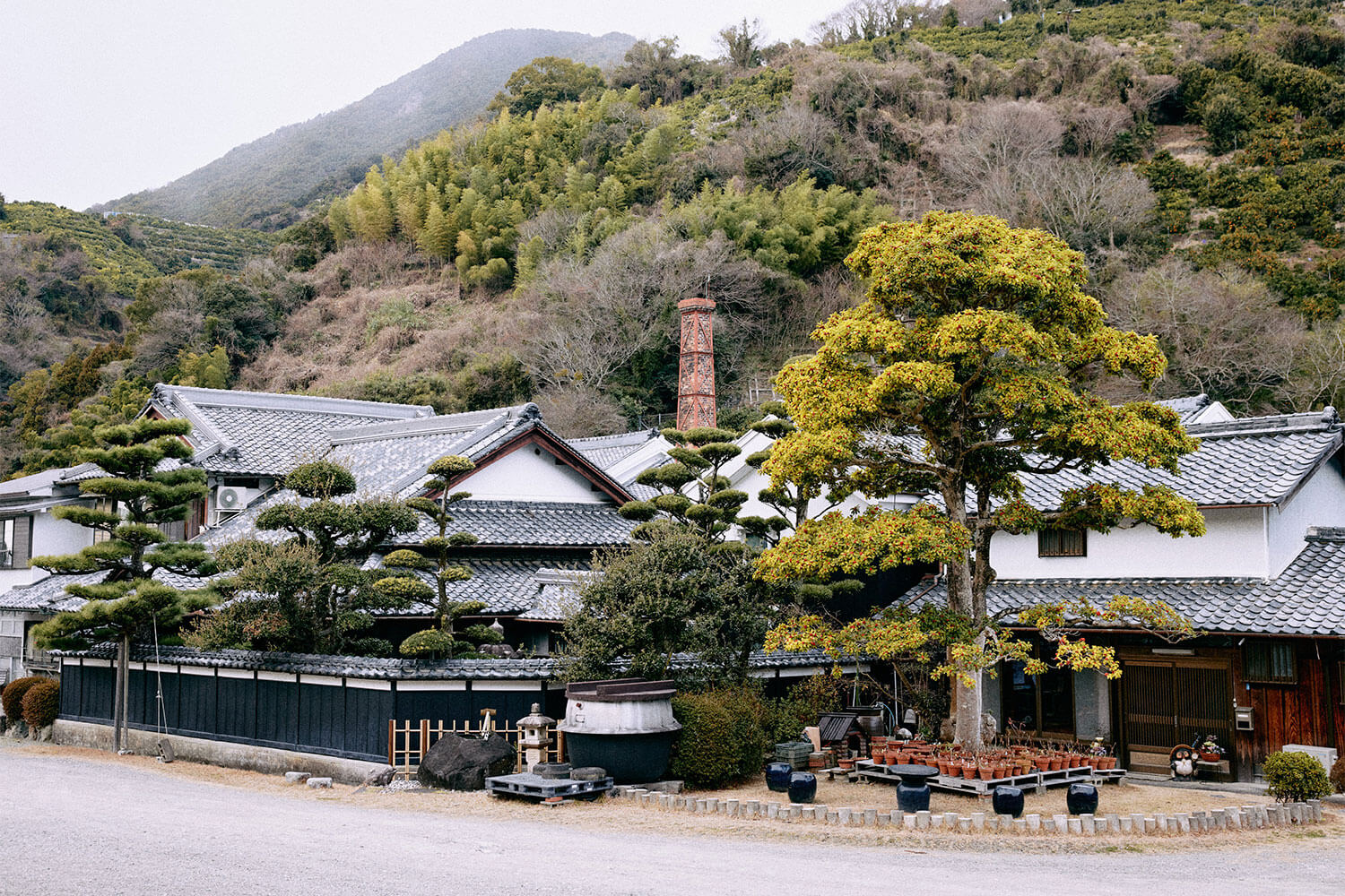 空海水が育てる、山里の手造り酒。『髙垣酒造』が守り続ける蔵の味。