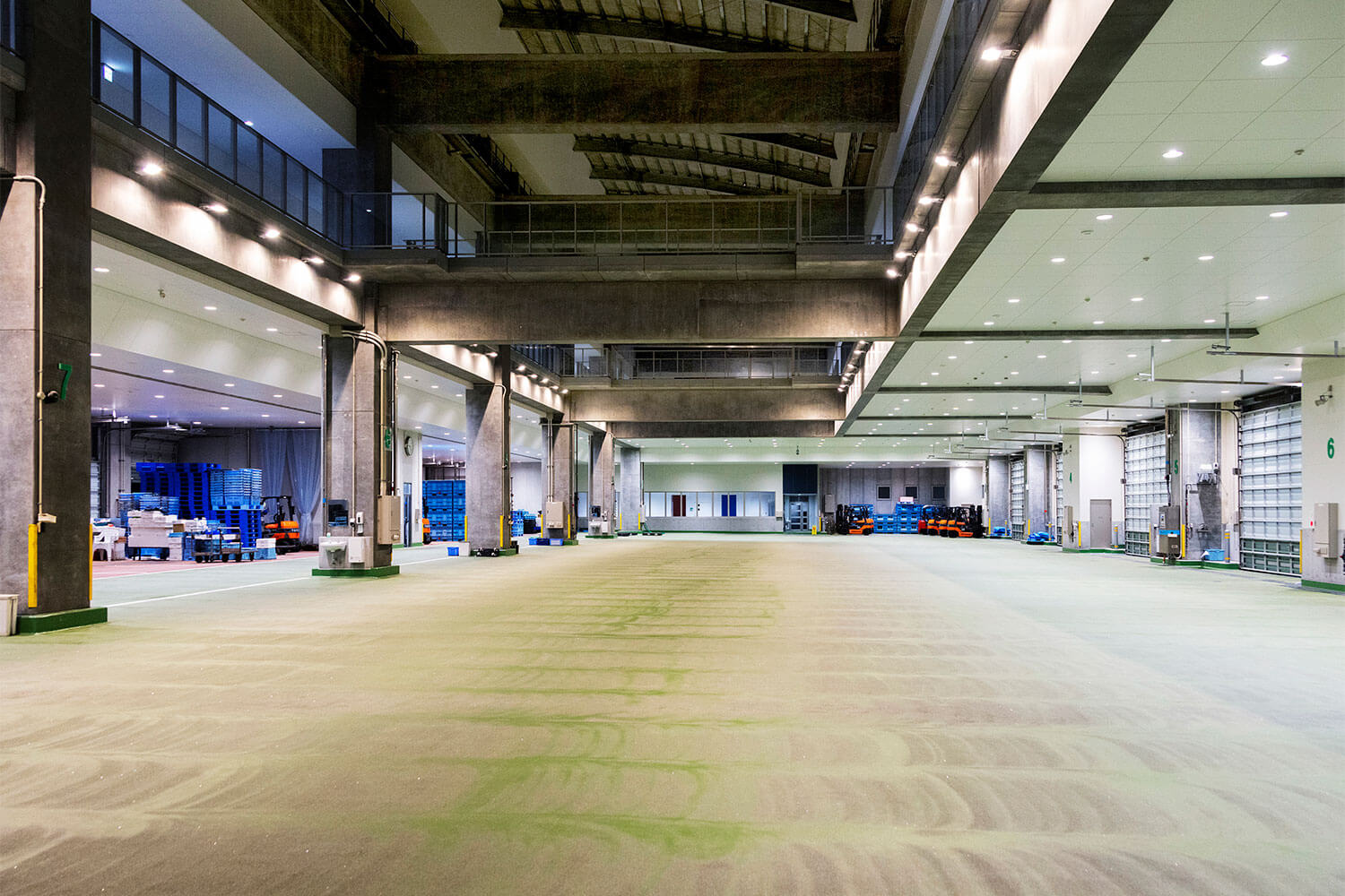 境港水産市場に潜入。早朝の競りと仲買が動かす、日本海の魚の流通。