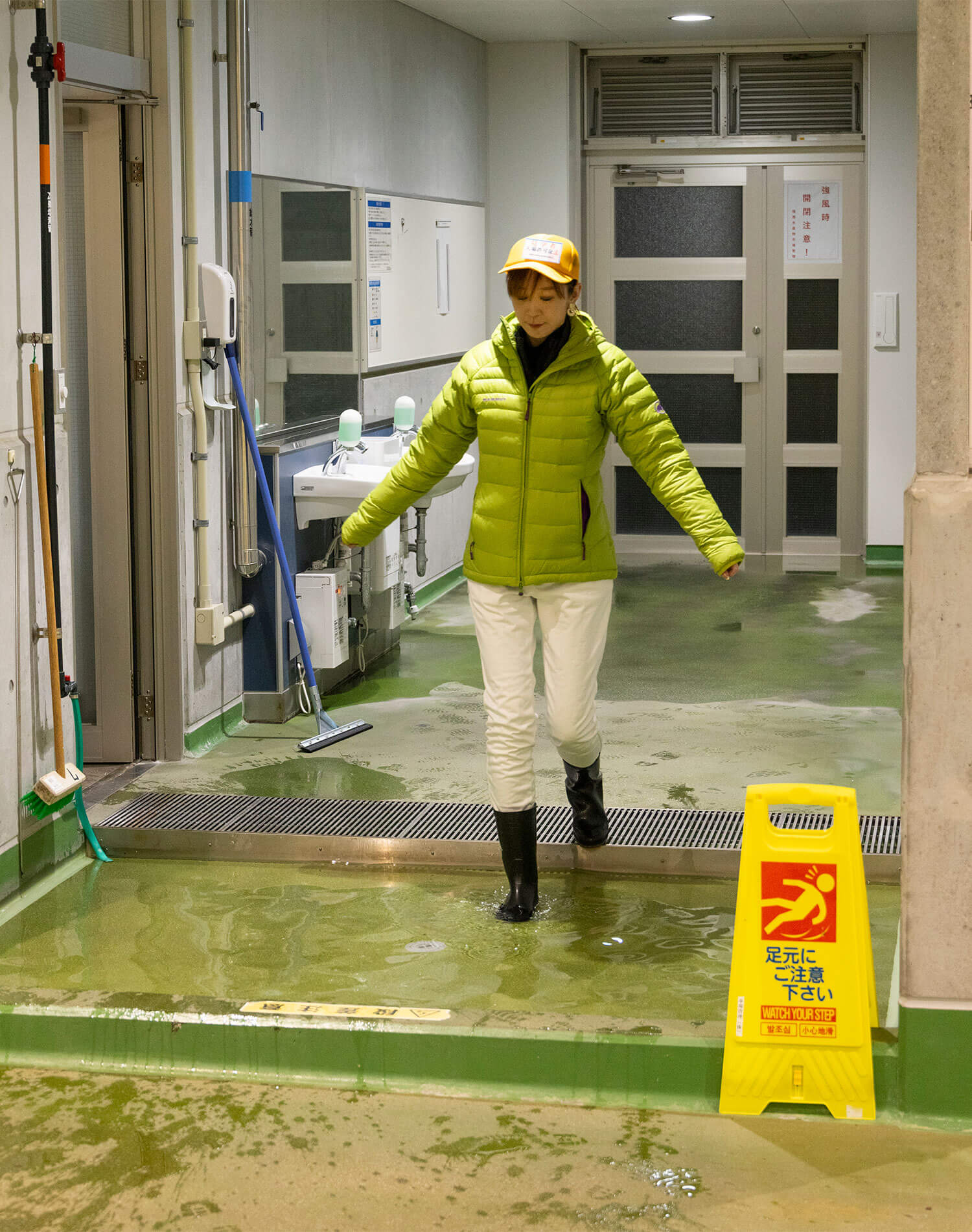 境港水産市場に潜入。早朝の競りと仲買が動かす、日本海の魚の流通。