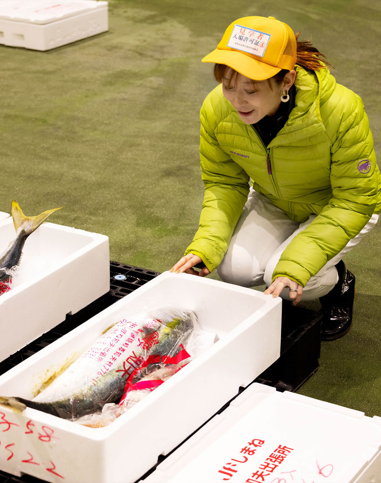 境港水産市場に潜入。早朝の競りと仲買が動かす、日本海の魚の流通。