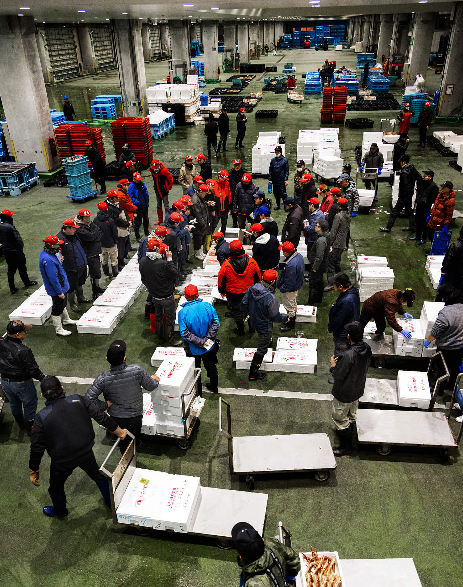 境港水産市場に潜入。早朝の競りと仲買が動かす、日本海の魚の流通。