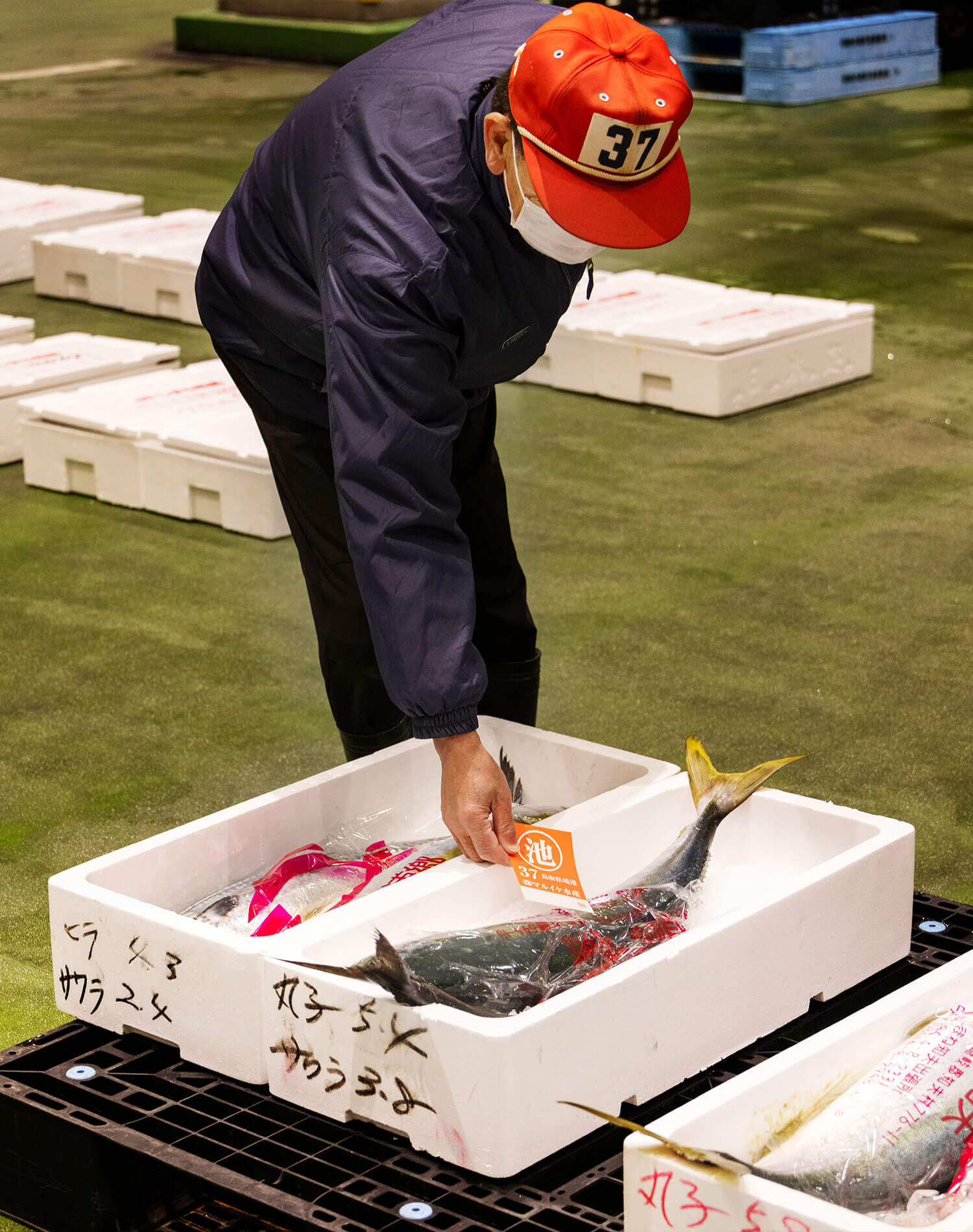 魚の目利きをする池淵信さん