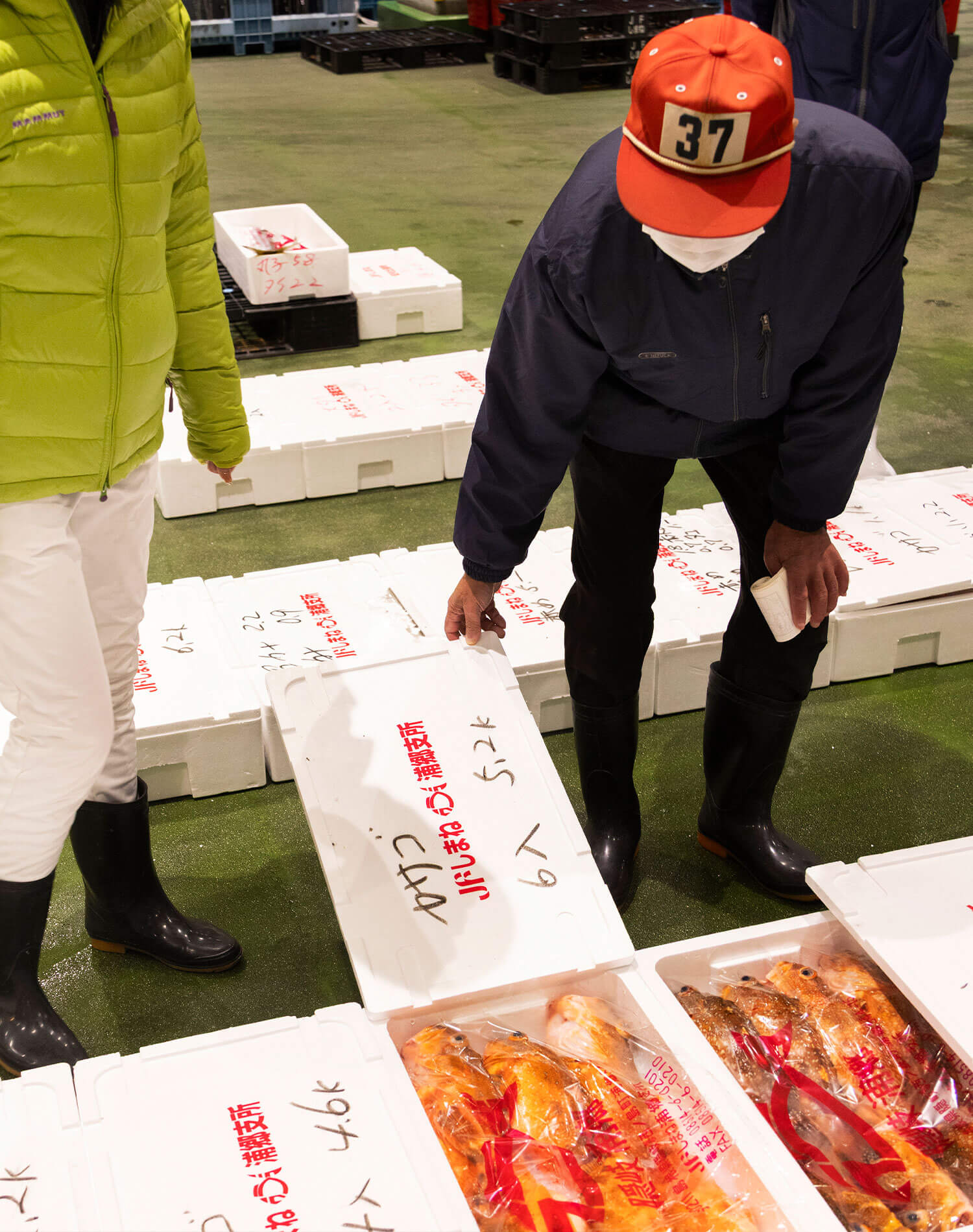 魚の目利きをする池淵信さん