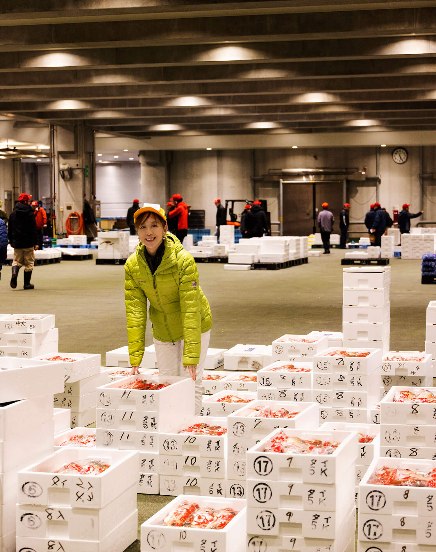 旬の魚とイワイダ