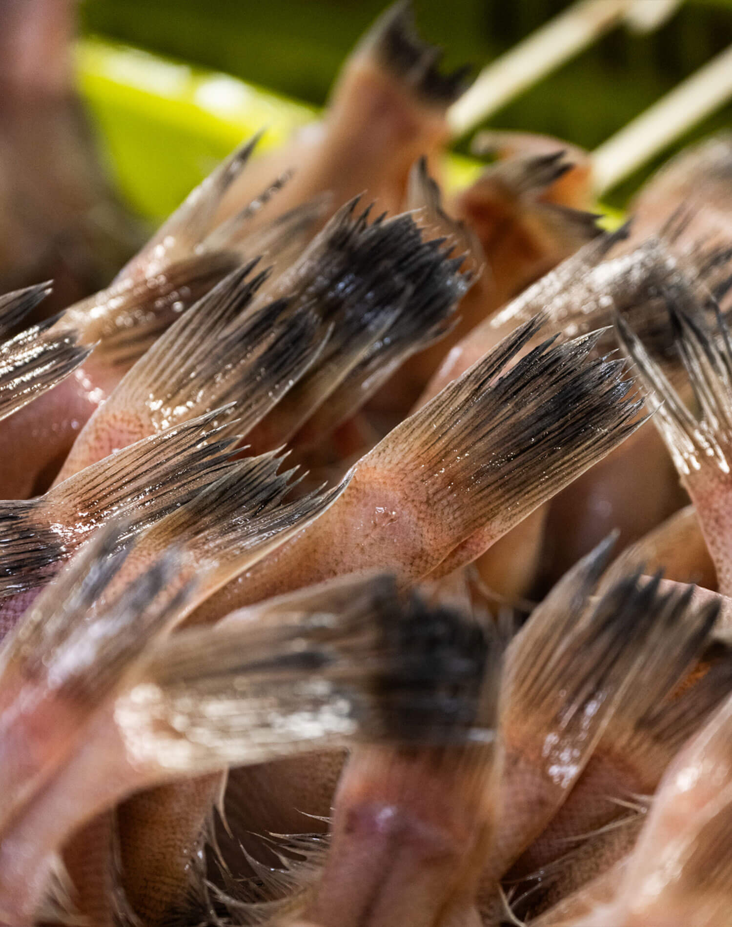 下処理を施すパートさん