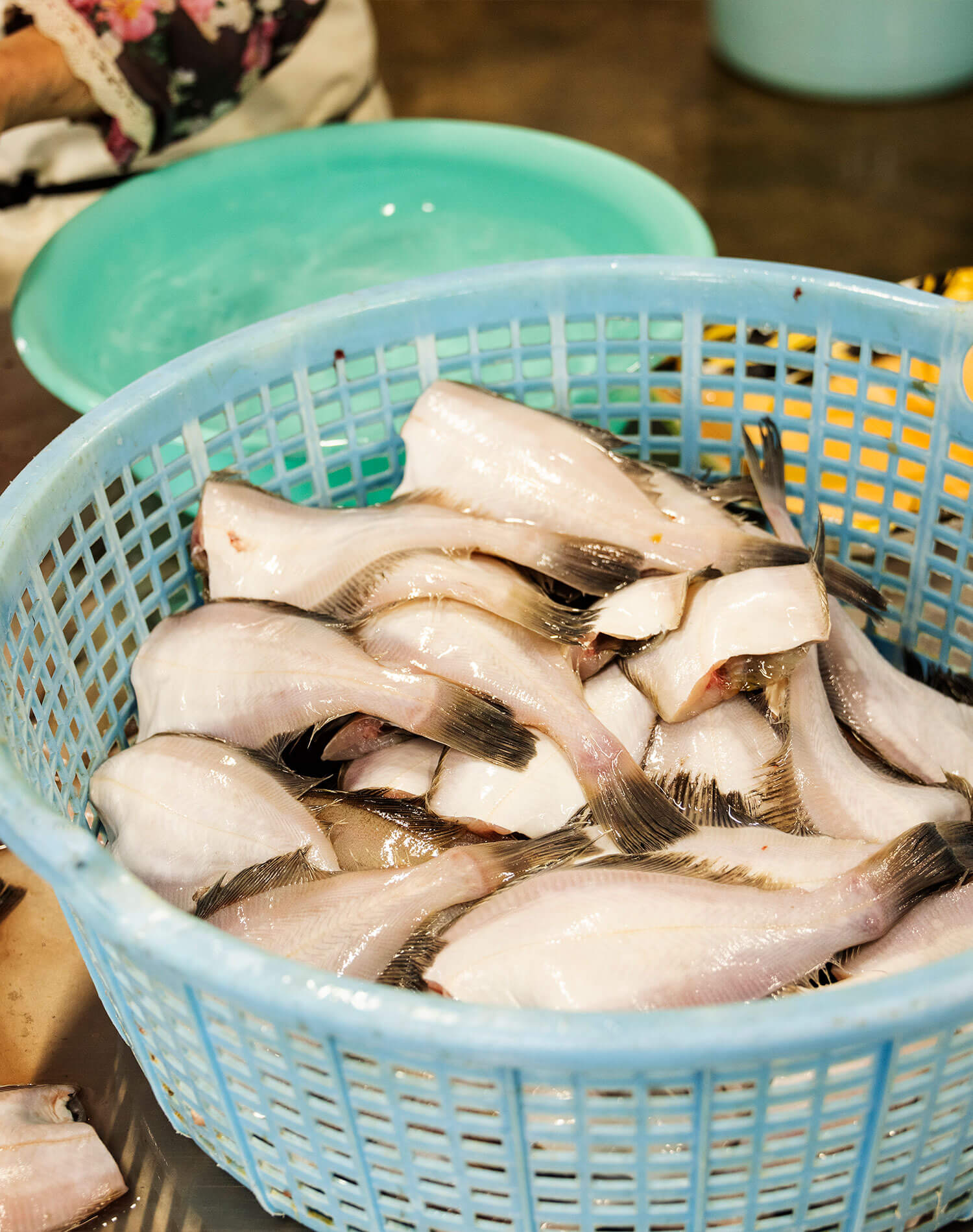 境港の干物はこうして生まれる。水産加工の現場を訪ねて『田手商店』