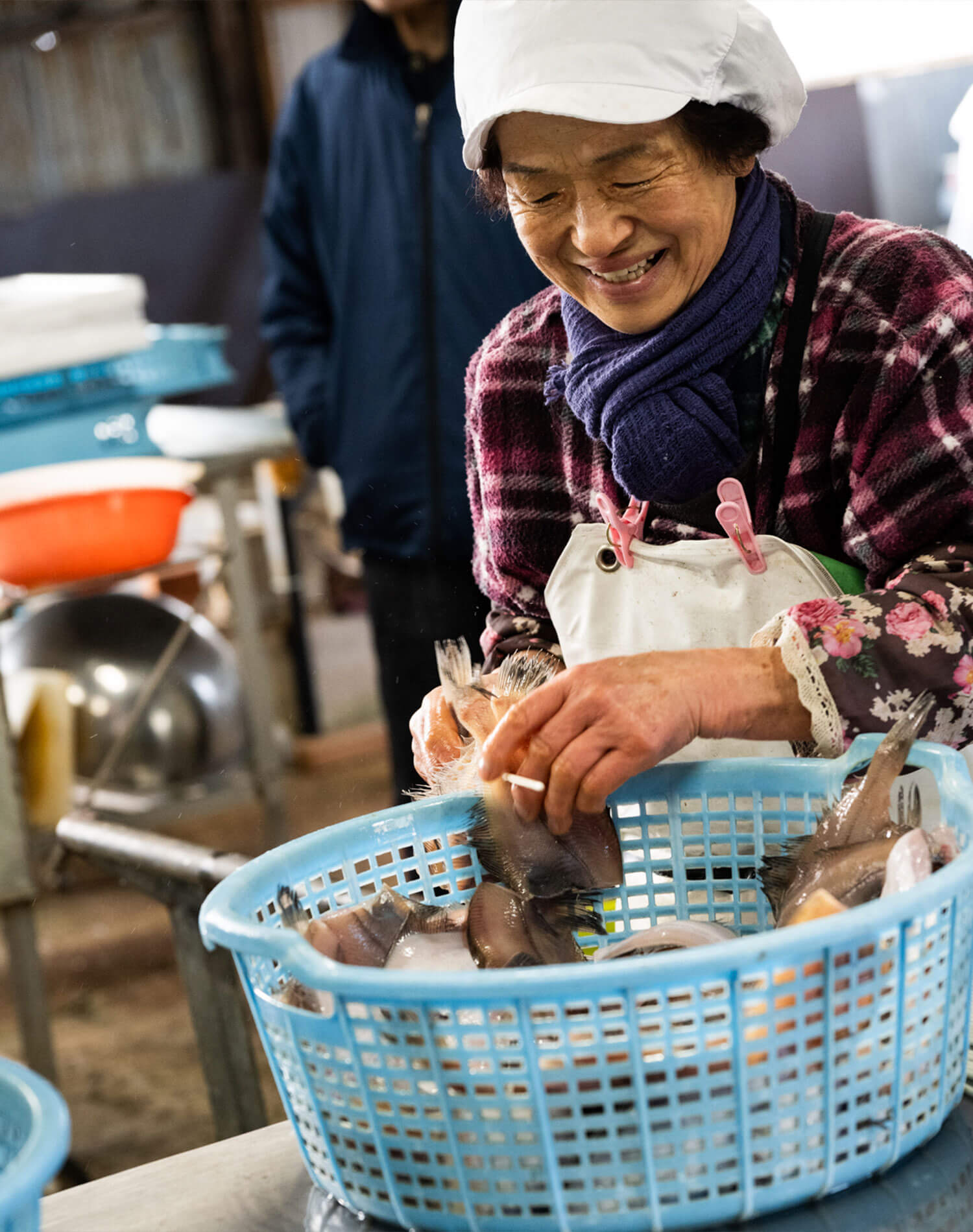 境港の干物はこうして生まれる。水産加工の現場を訪ねて『田手商店』