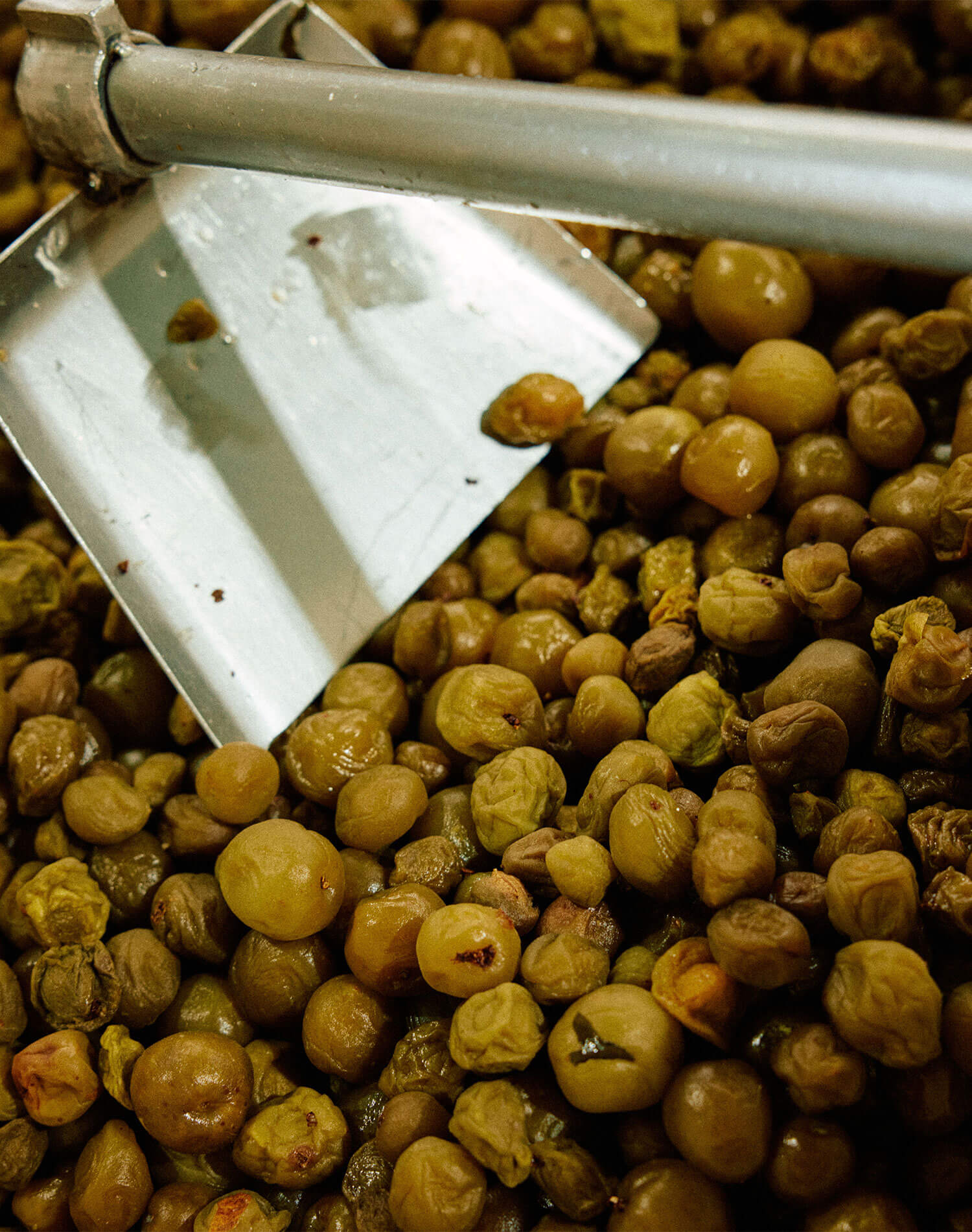 梅の聖地から生まれた、熊野の蒸留酒。『紀州熊野蒸溜所』が届ける、新しい梅の可能性。