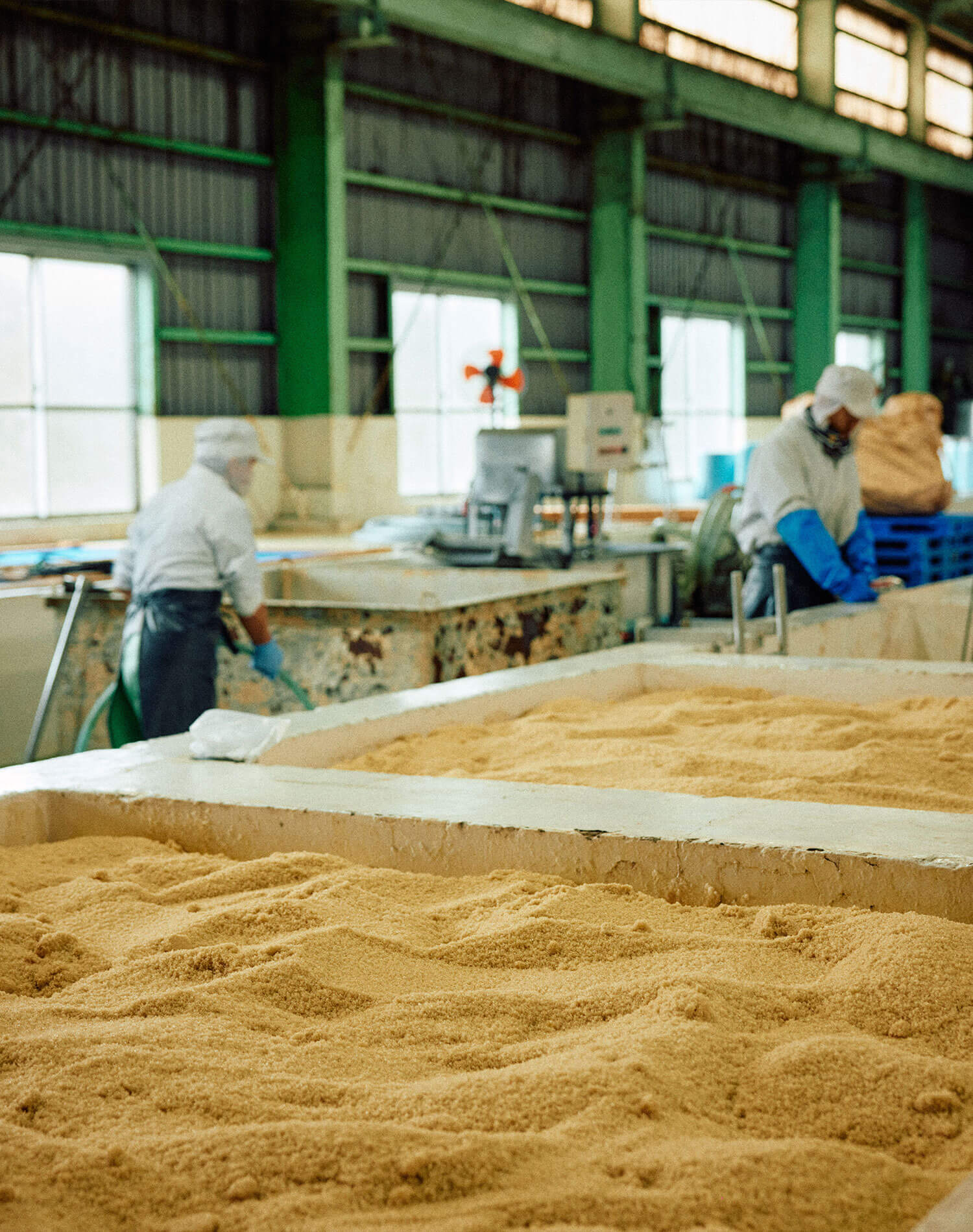 梅の聖地から生まれた、熊野の蒸留酒。『紀州熊野蒸溜所』が届ける、新しい梅の可能性。