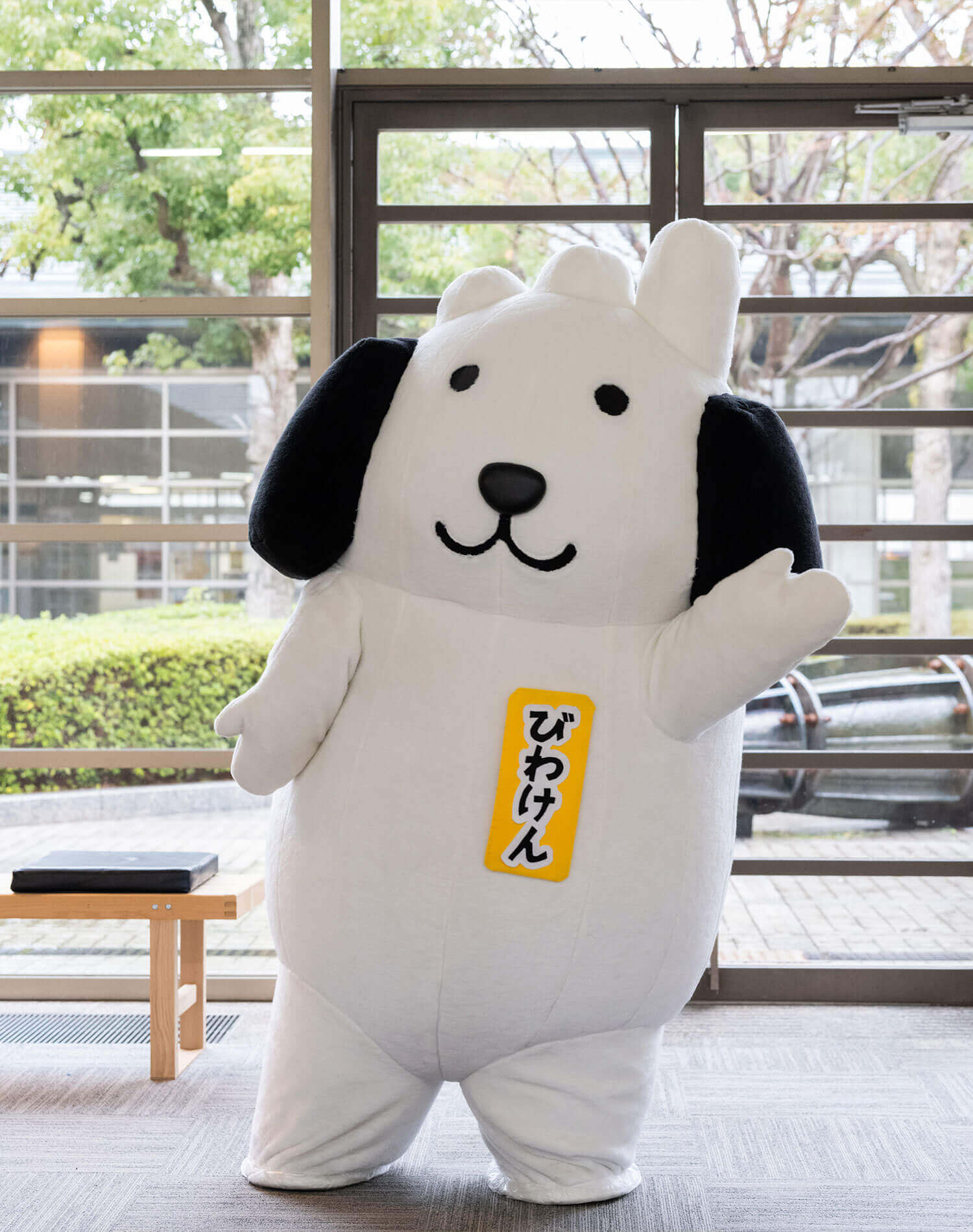 びわけん