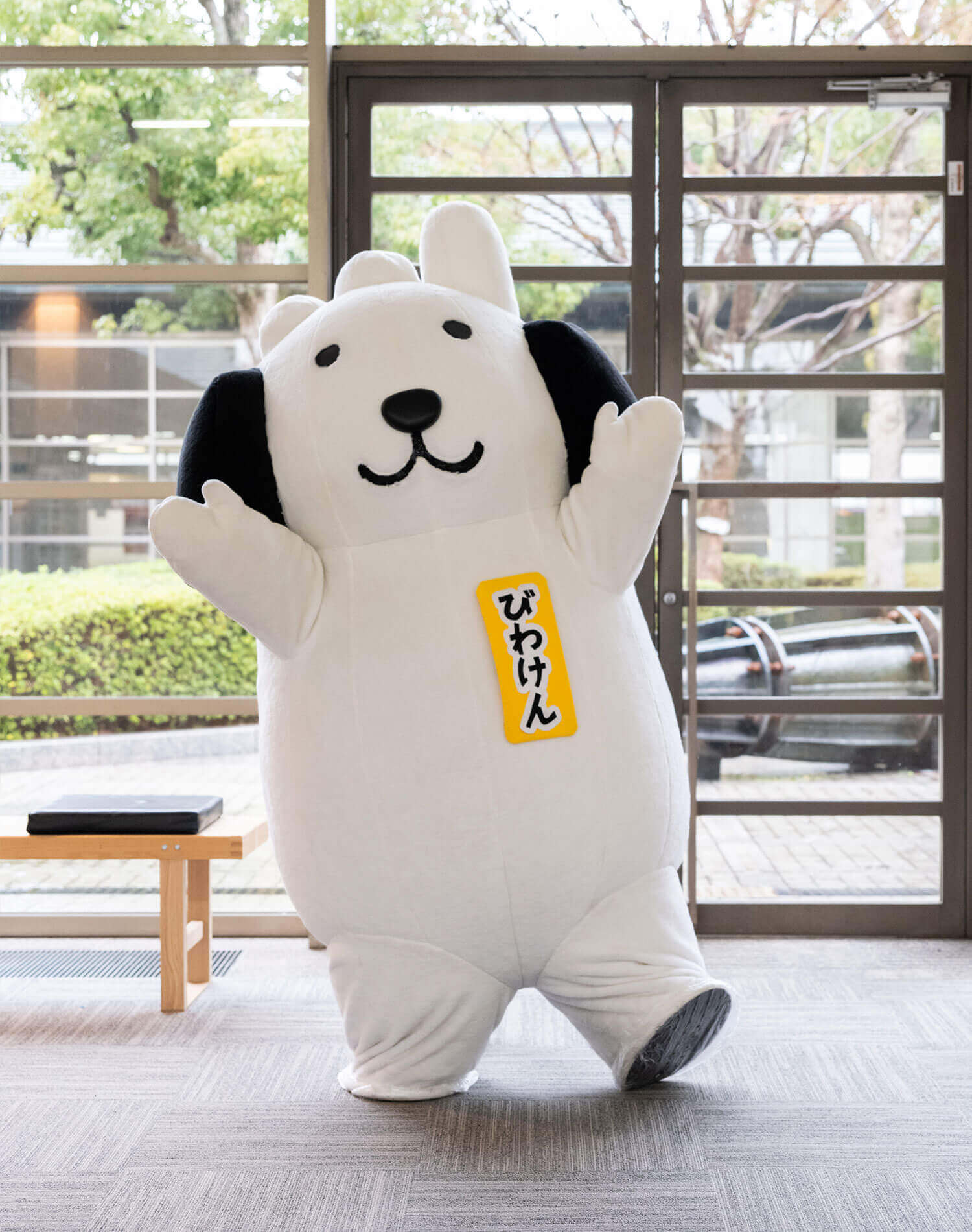 びわけん