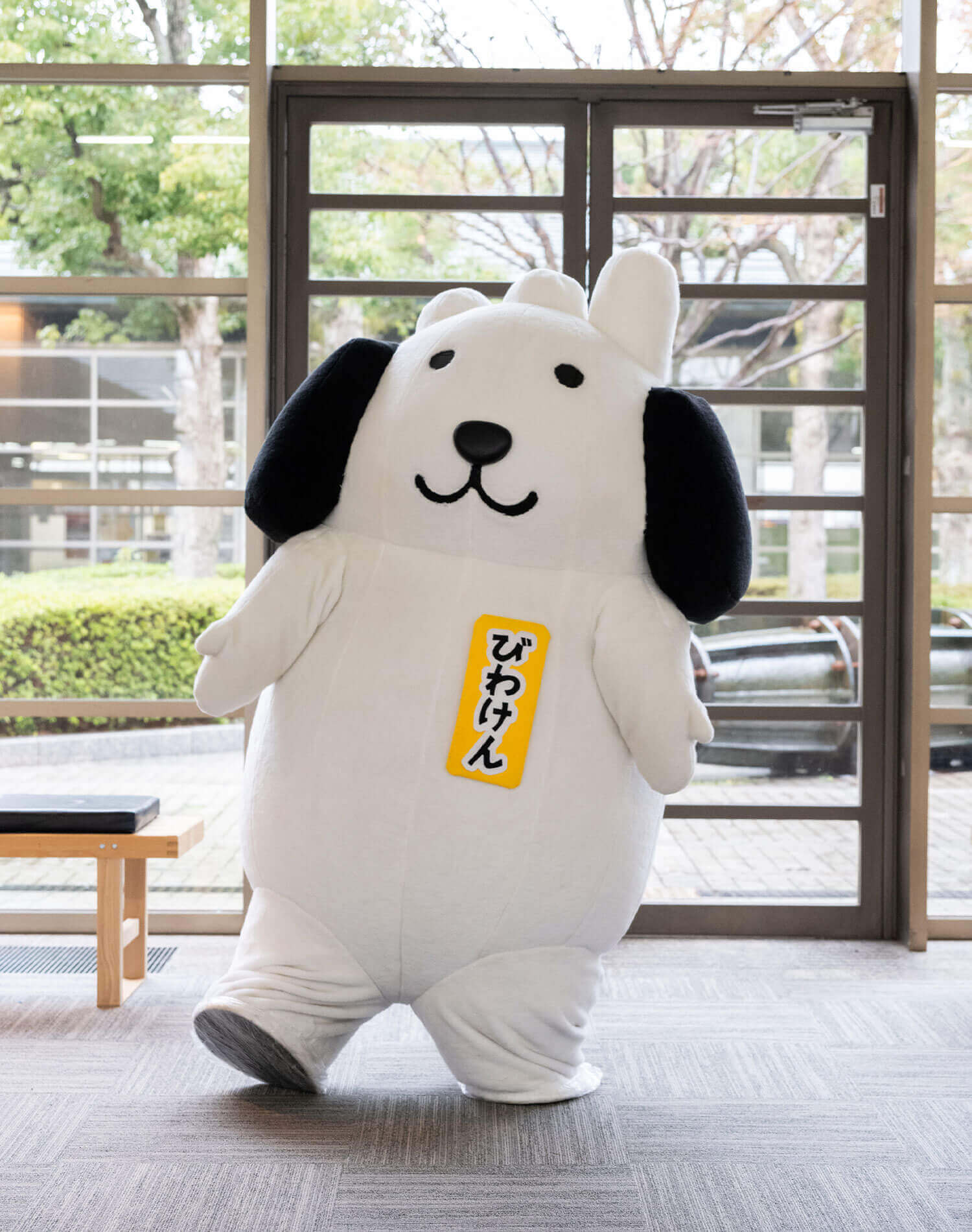 びわけん