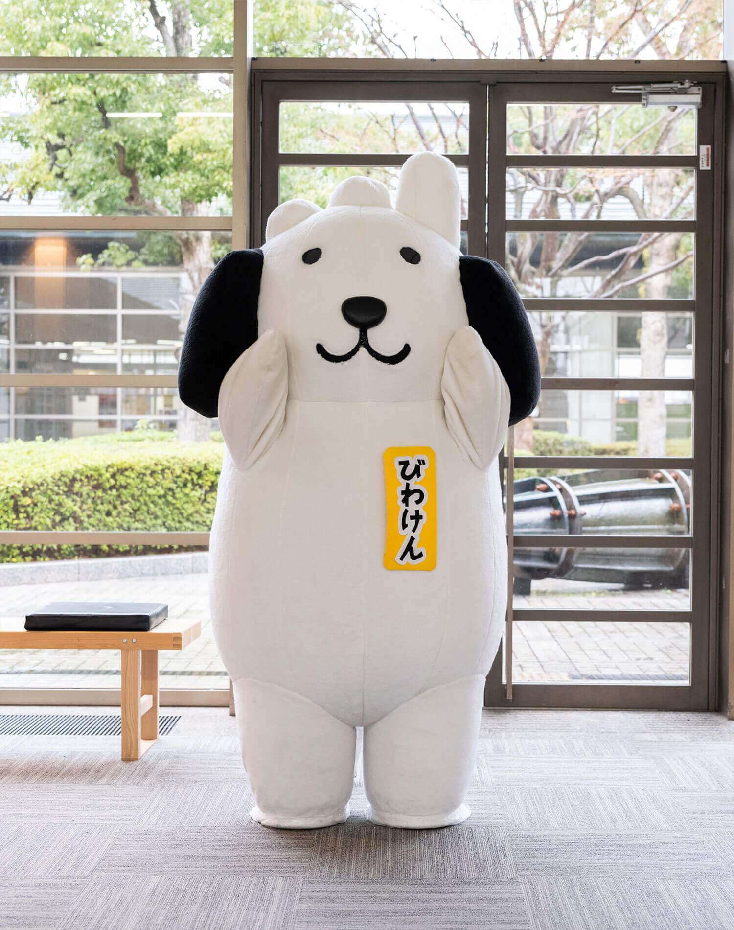 びわけん