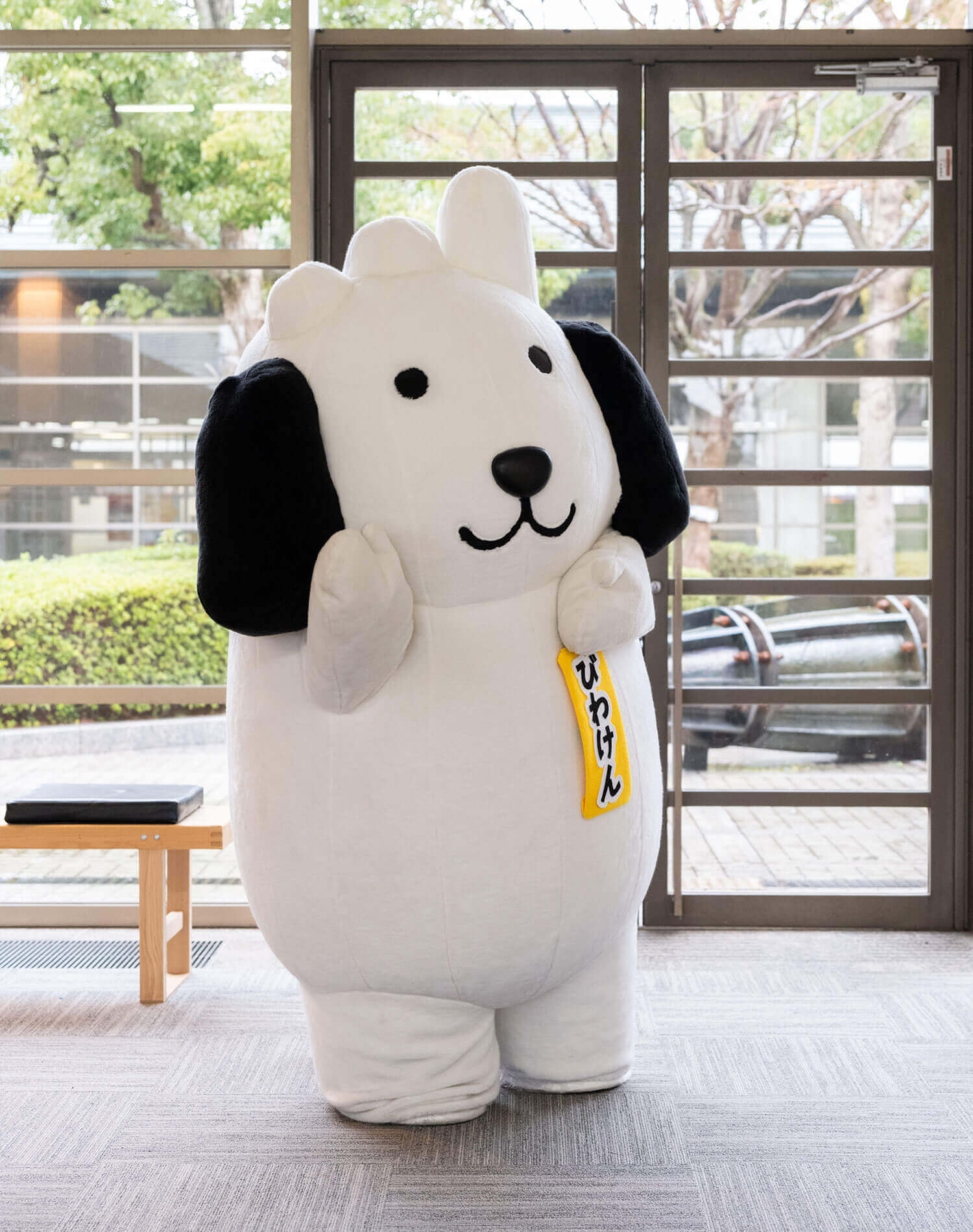 びわけん
